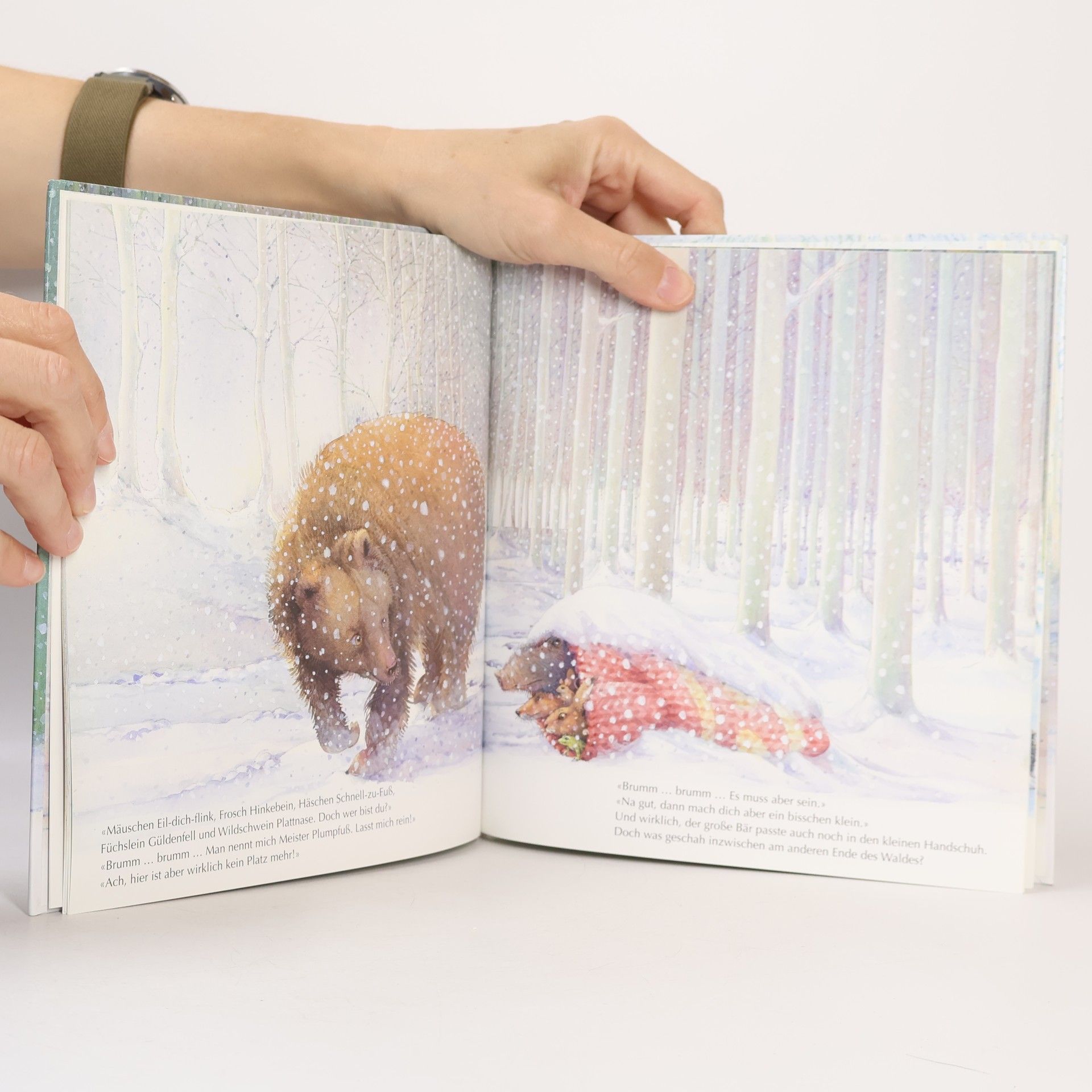 Loek Koopmans Ein Märchen im Schnee