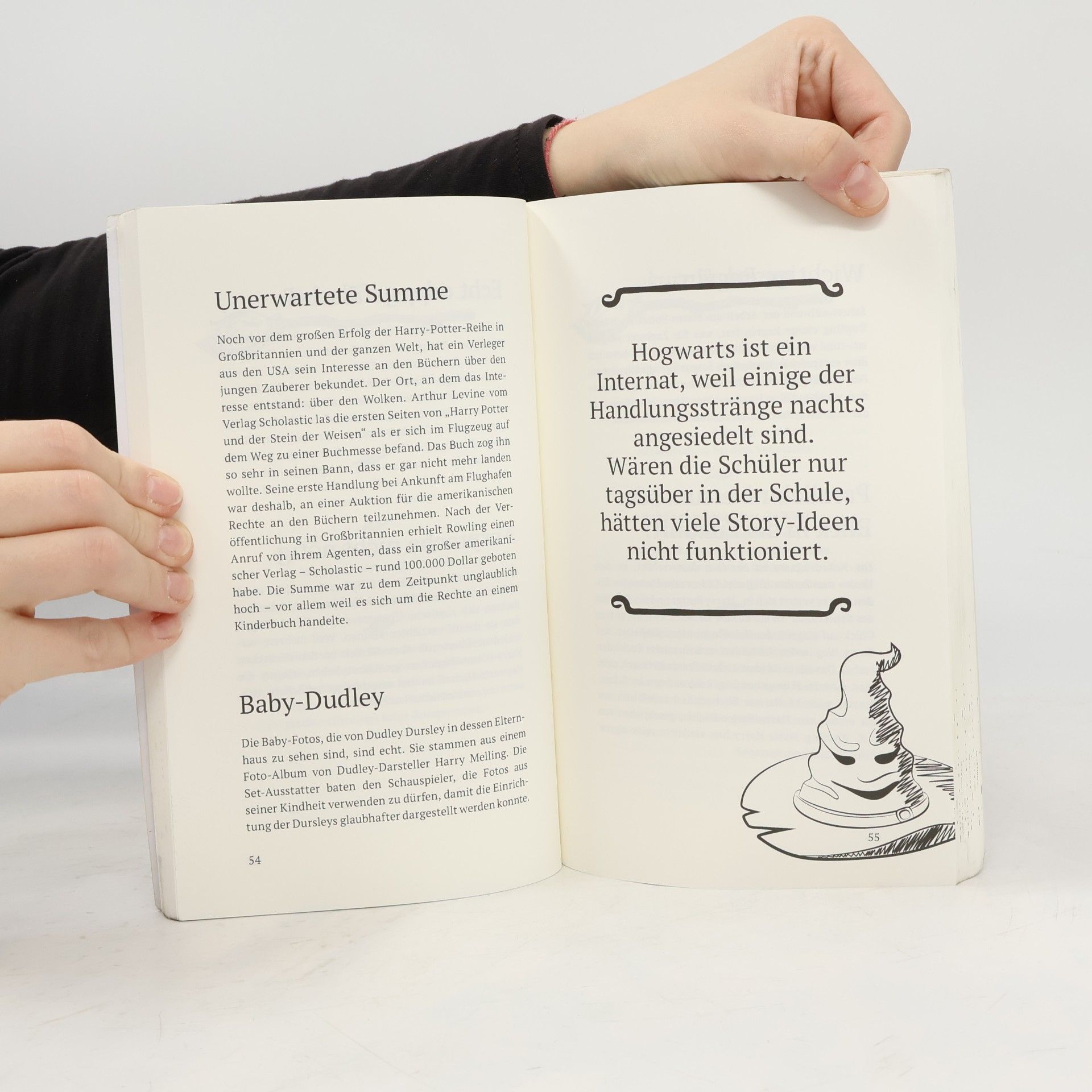 Lisa Marie Bopp Unnützes Wissen für Potter-Fans 2 - Die inoffizielle Sammlung