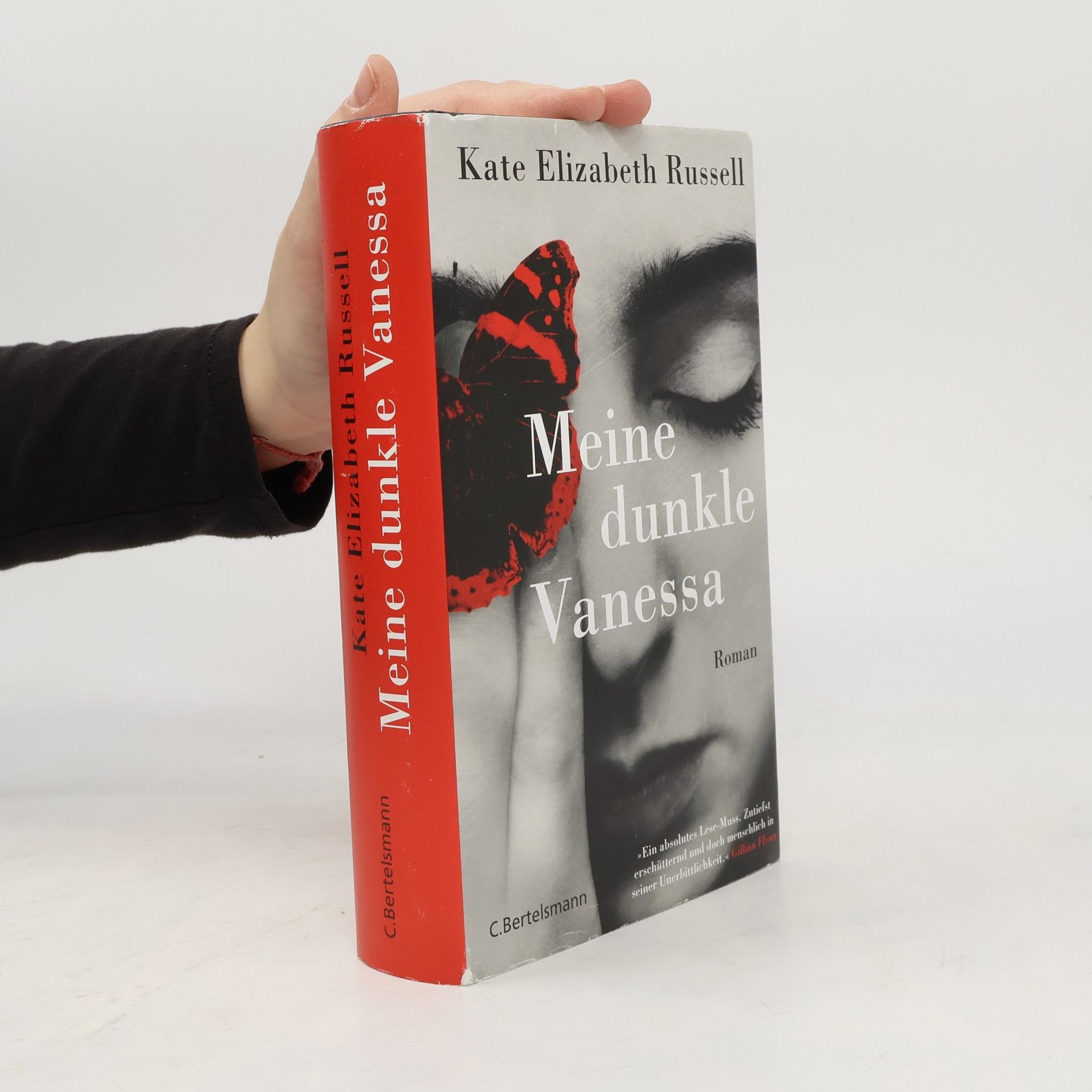 Kate Elizabeth Russell Meine dunkle Vanessa