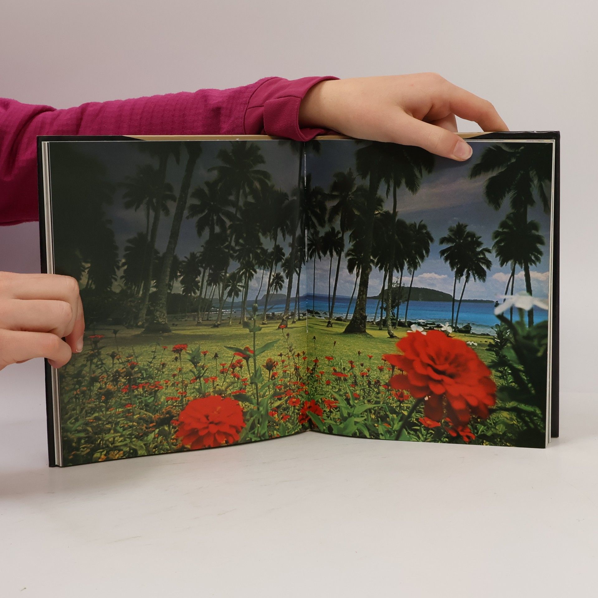 Joël Bonnemaison New Hebrides