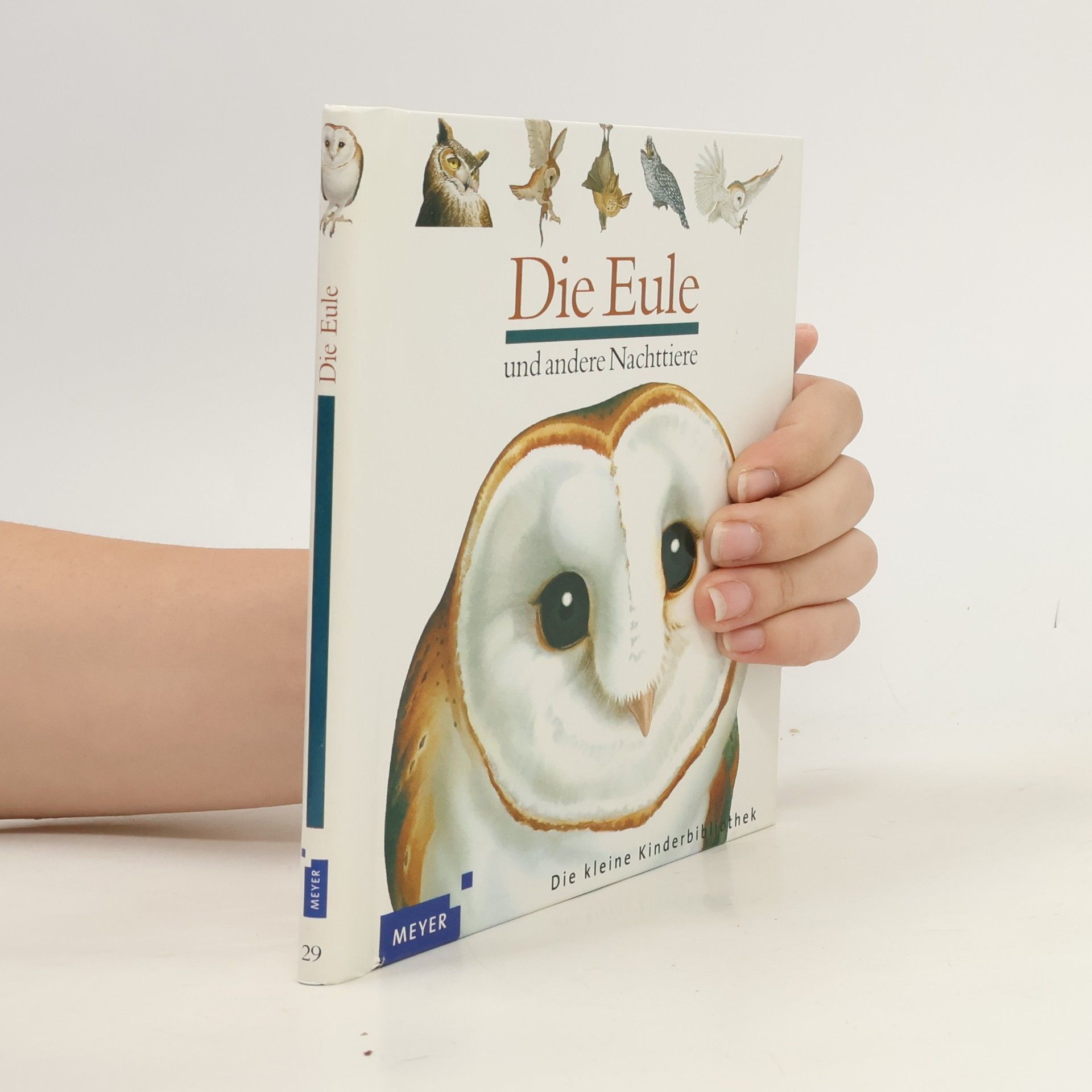 Die Eule und andere Nachttiere