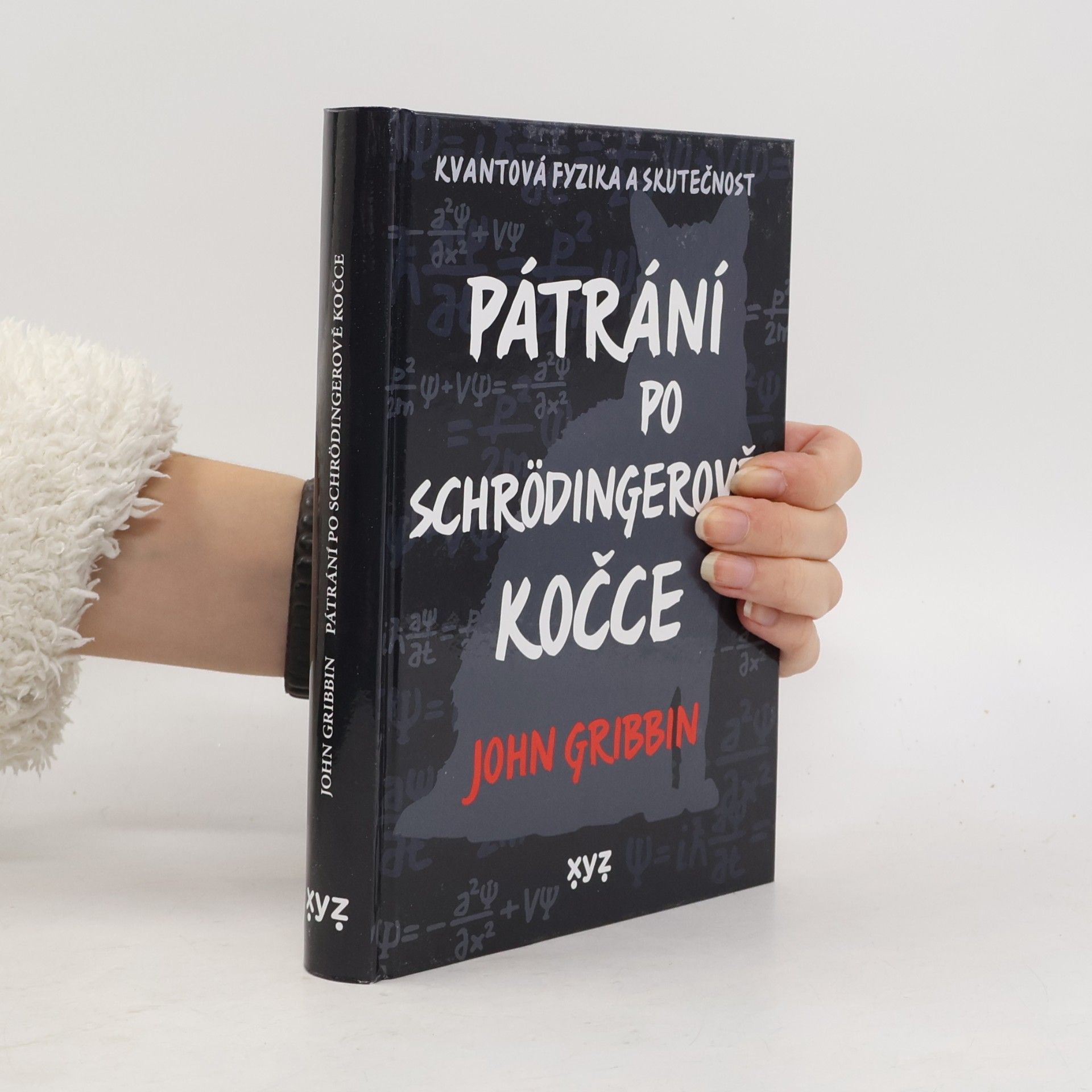 Pátrání po Schrödingerově kočce