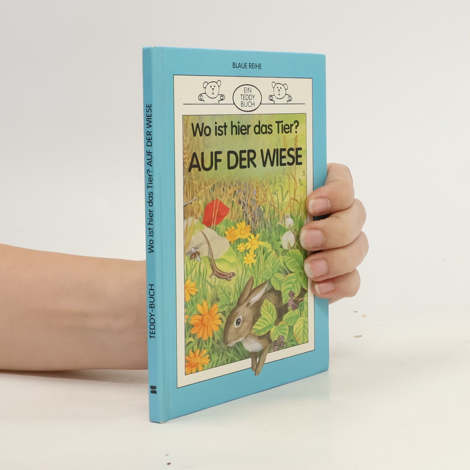 Wendy Boase Blaue Reihe: Wo ist hier das Tier? Auf der Wiese