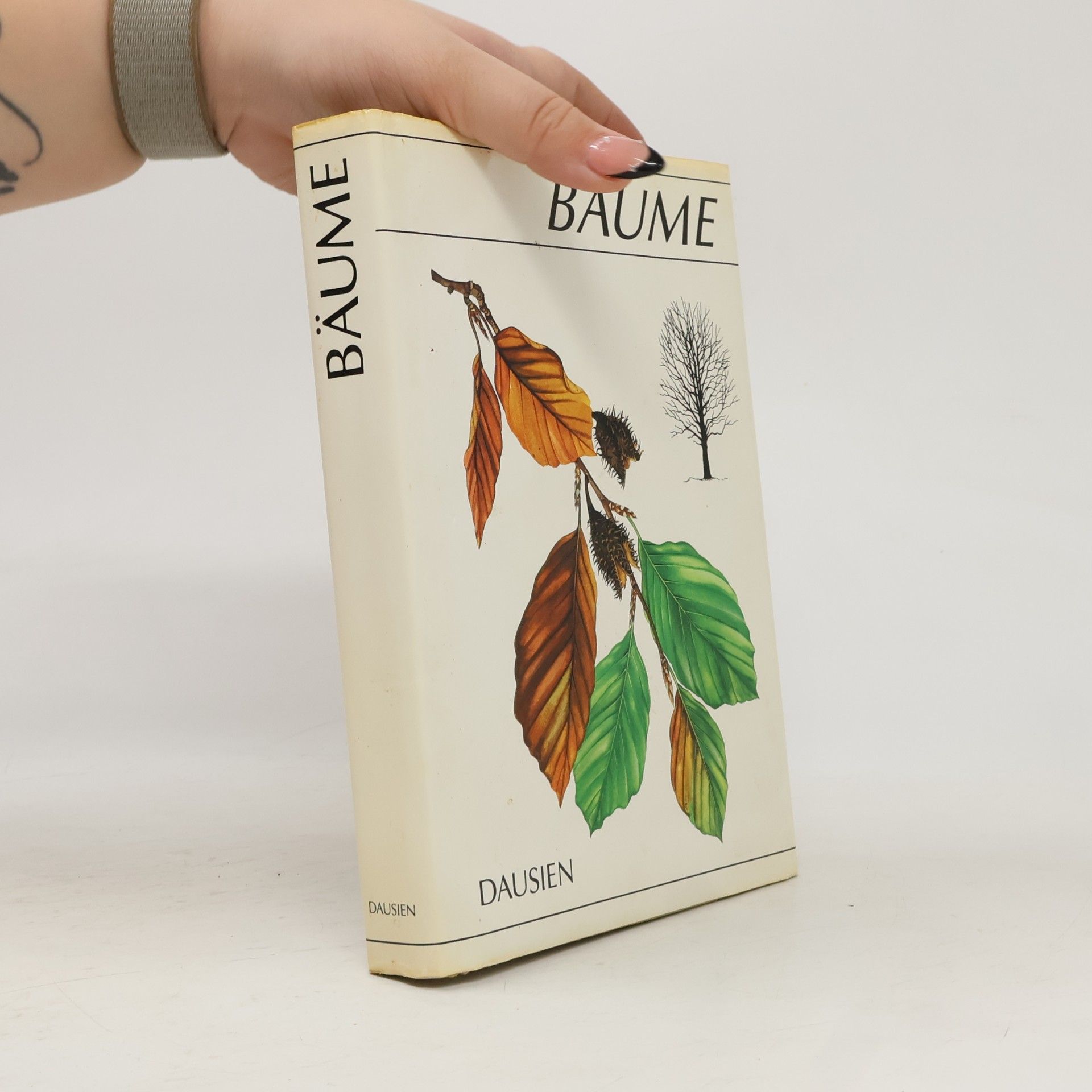 Bäume