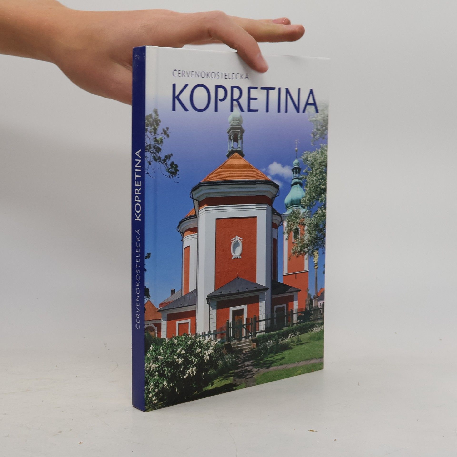 Červenokostelecká kopretina