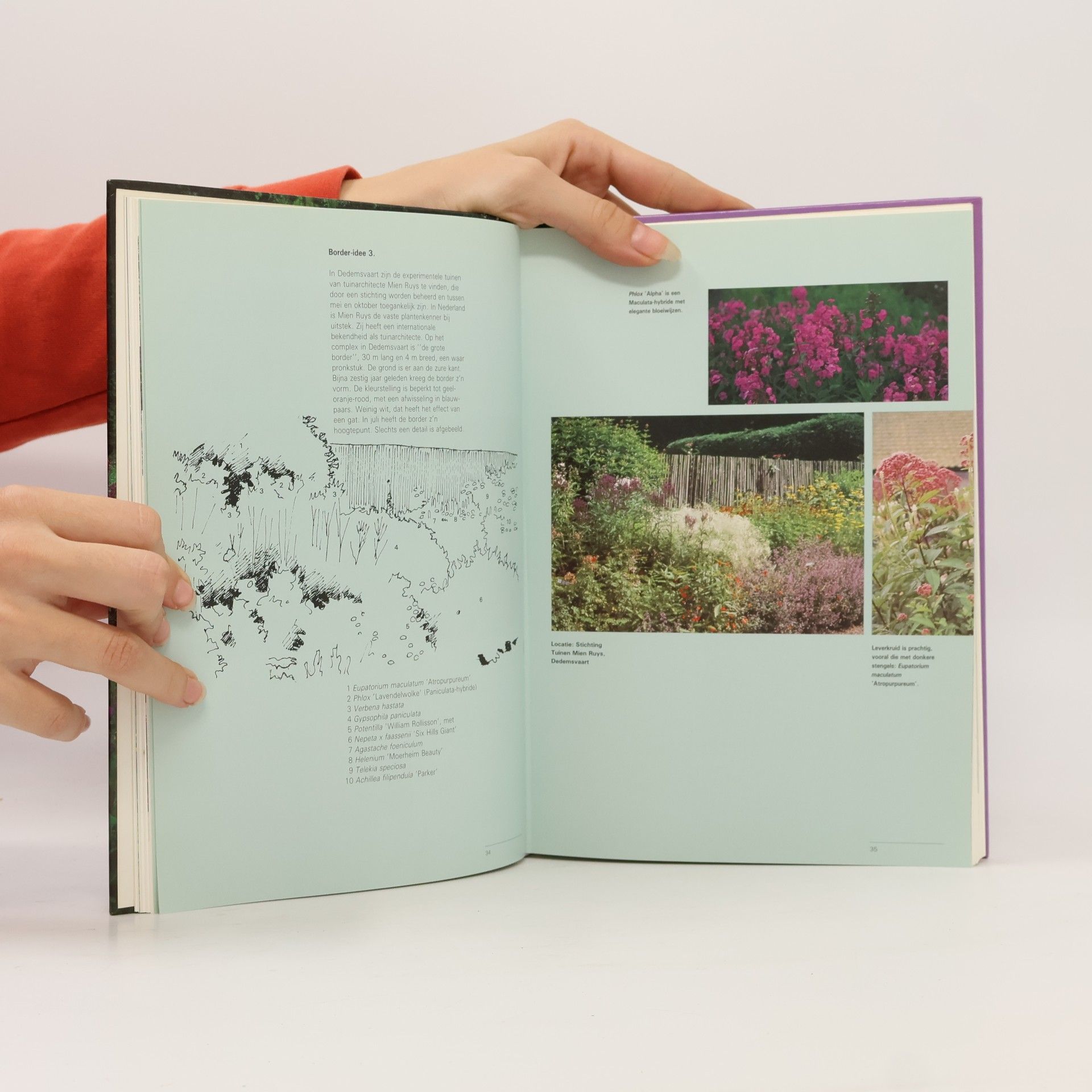 Julia Voskuil Bloeiende borders