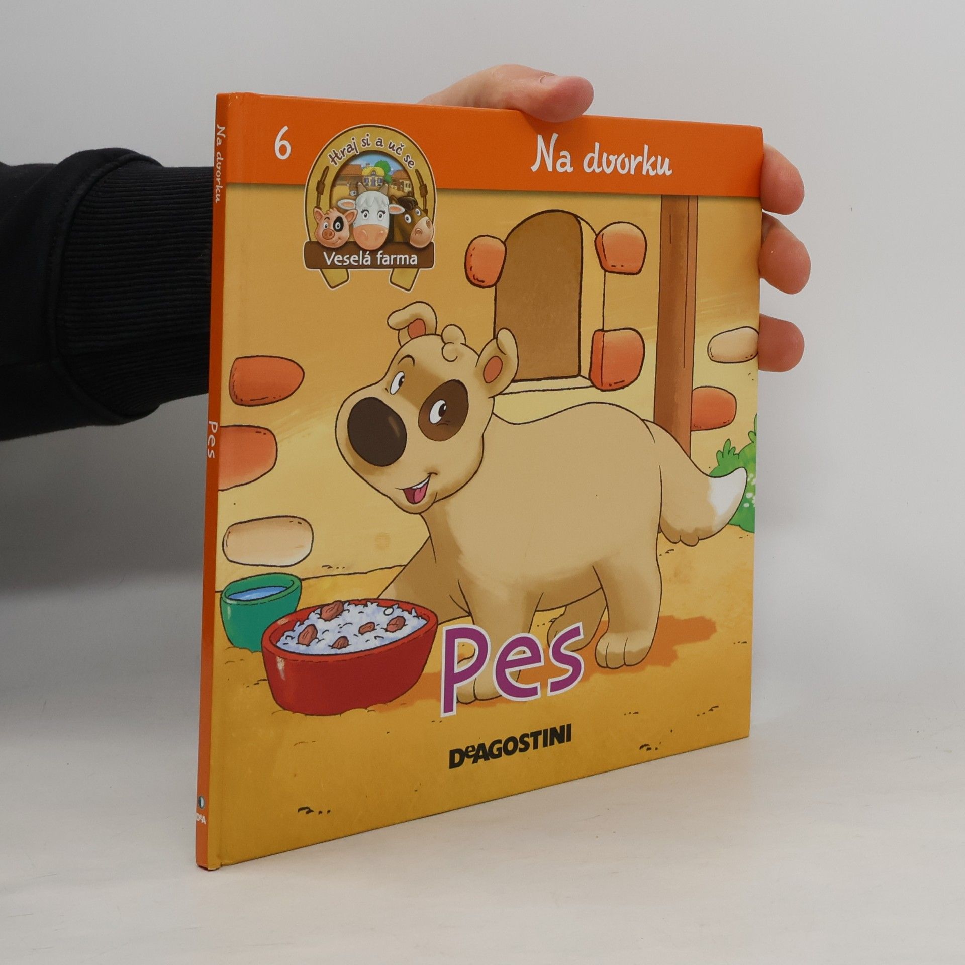 Kolektiv autorů Na dvorku 6. Pes
