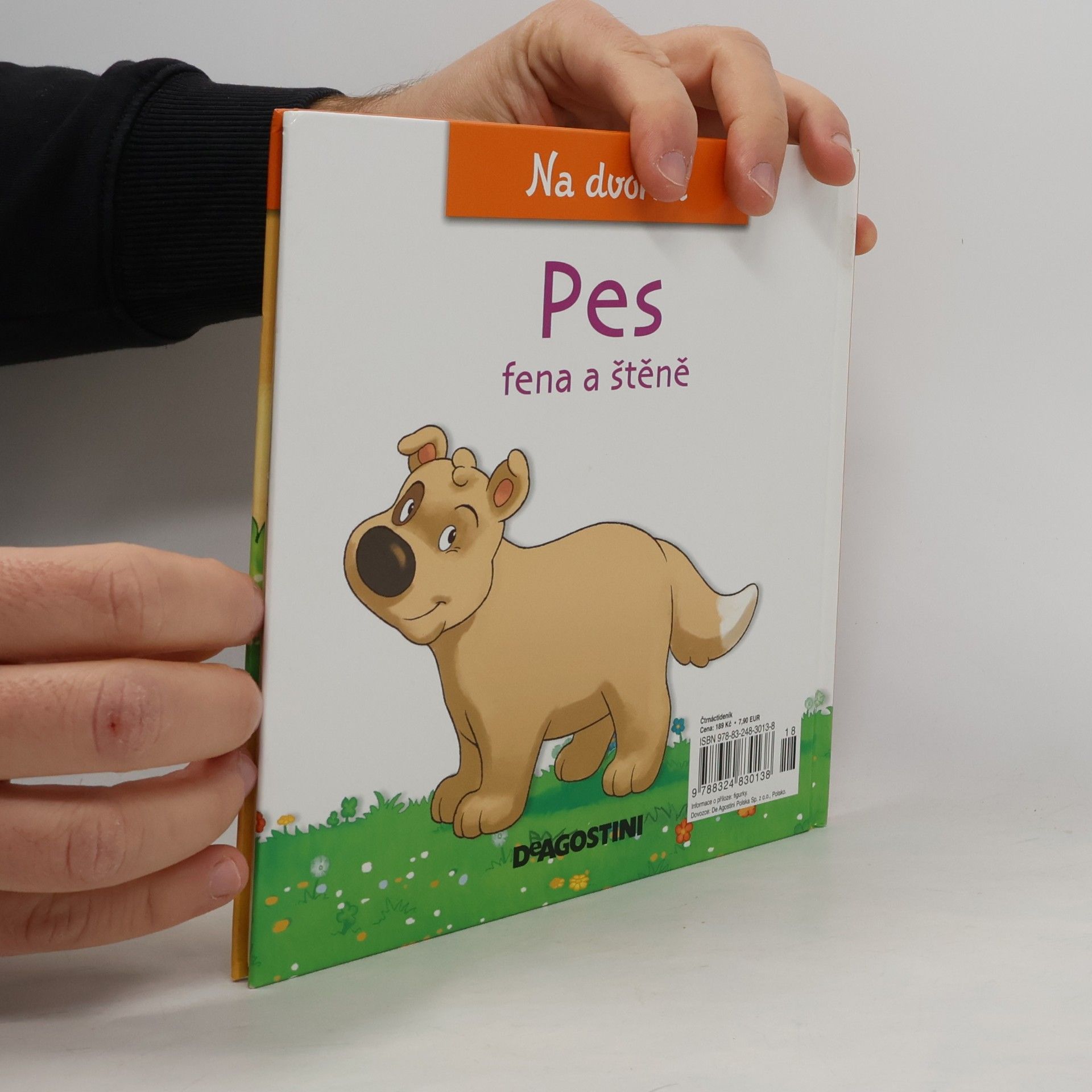 Kolektiv autorů Na dvorku 6. Pes