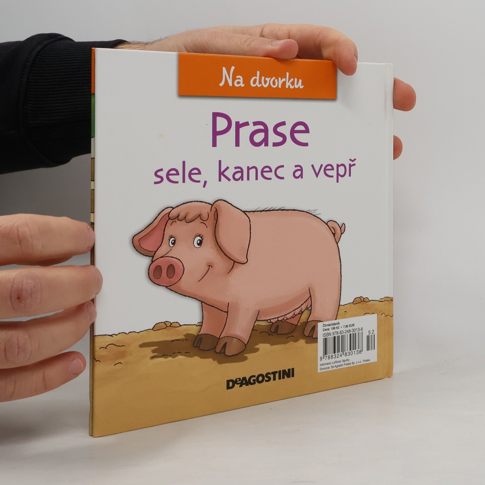 AA.VV. Na dvorku 23. Prase
