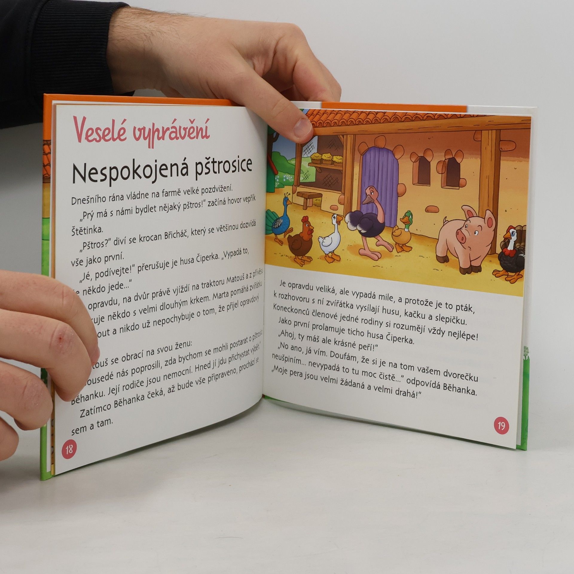 Autorenkollektiv Na dvorku 19. Zvířátka a jejich děti