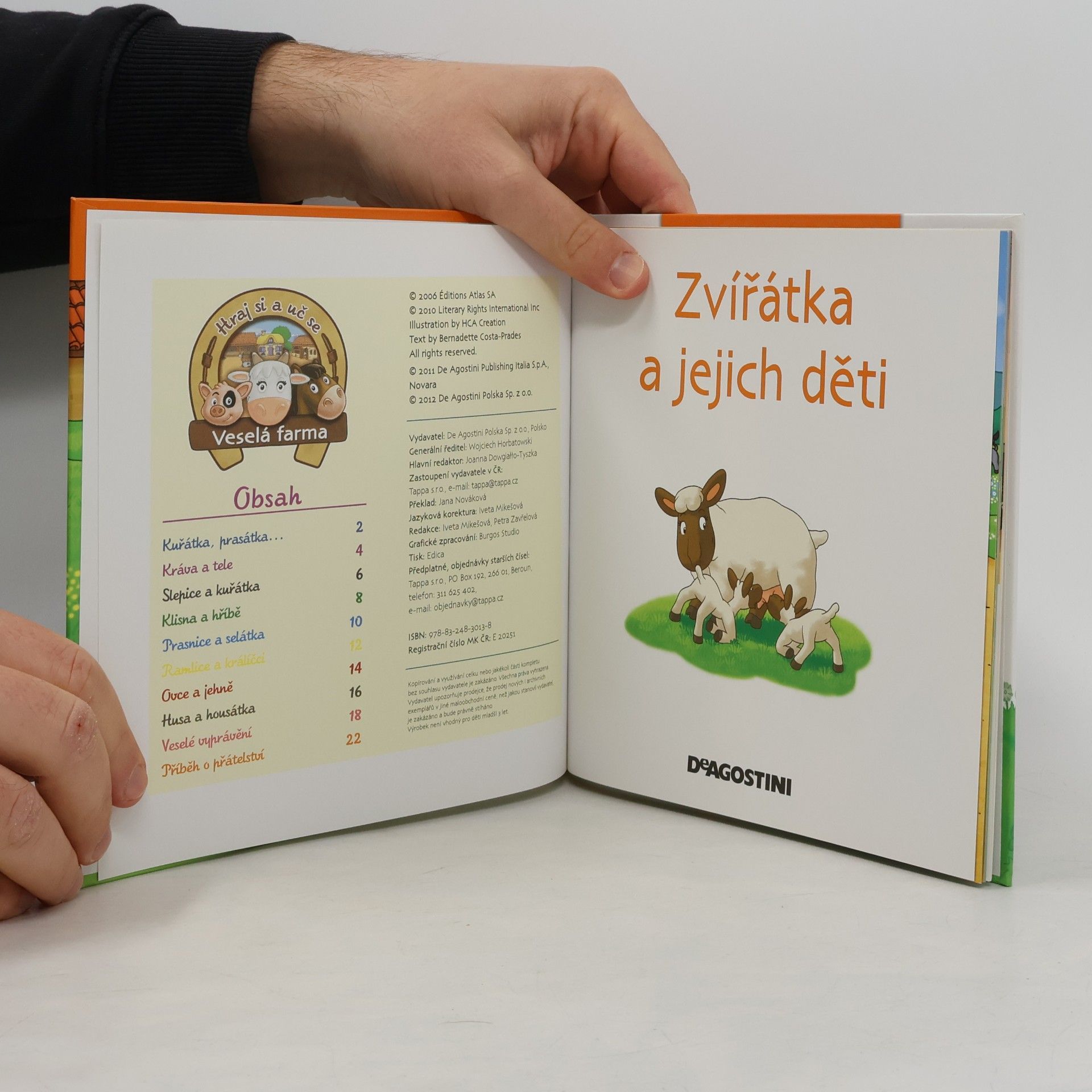 Autorenkollektiv Na dvorku 19. Zvířátka a jejich děti