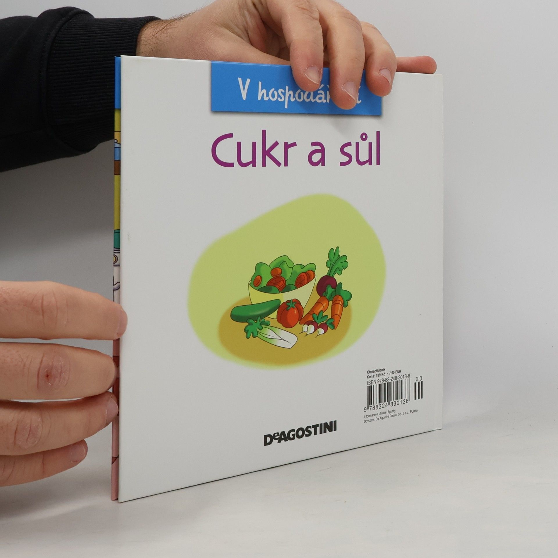 Auteurscollectief V hospodářství 33. Cukr a sůl