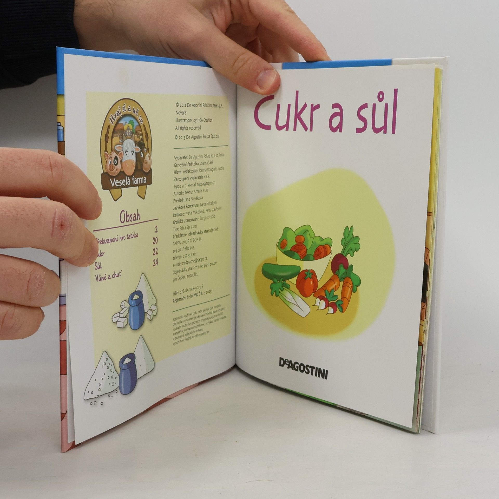 Auteurscollectief V hospodářství 33. Cukr a sůl