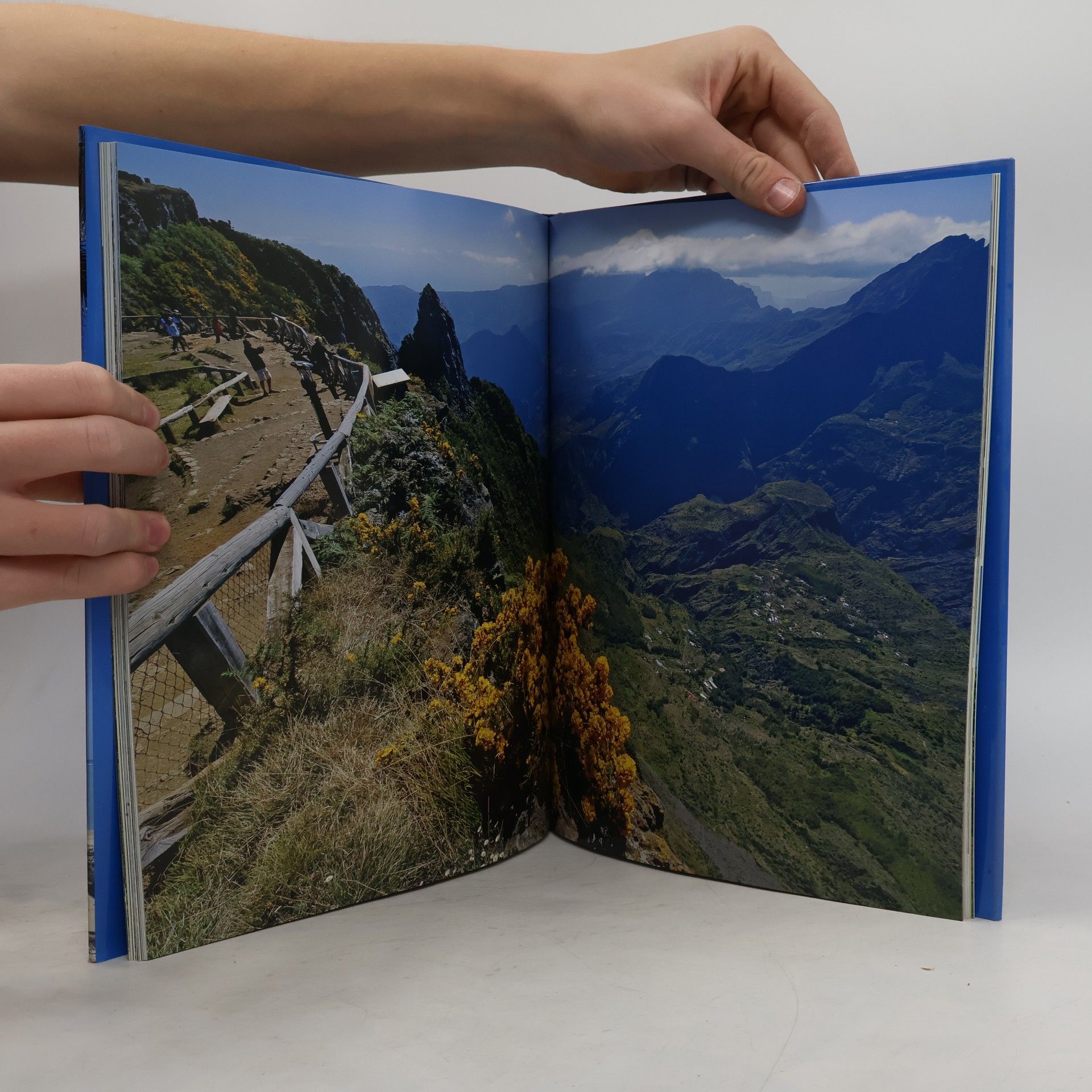 Thomas Haltner Reise durch La Réunion