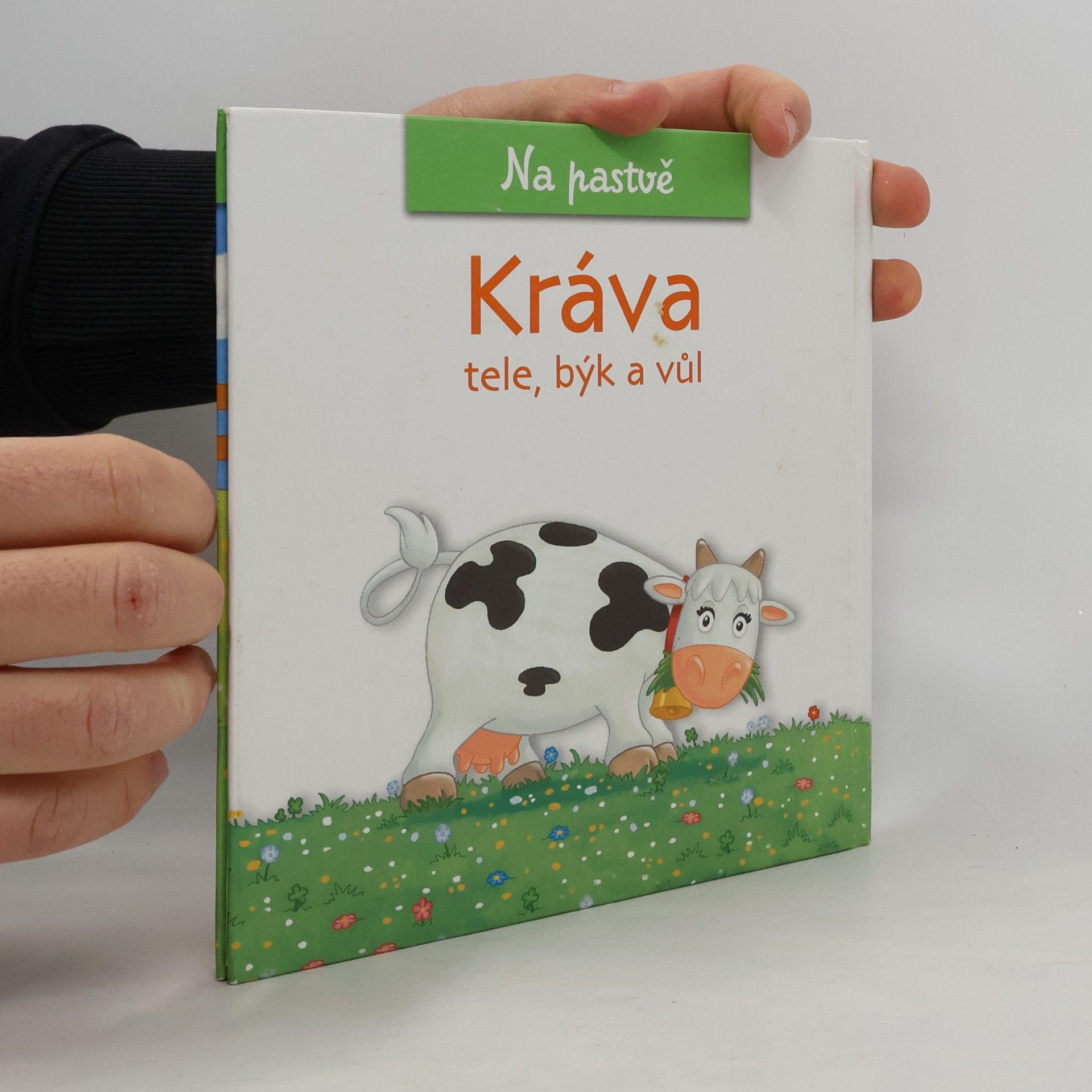 Amelia Bruni Na pastvě 1. Kráva