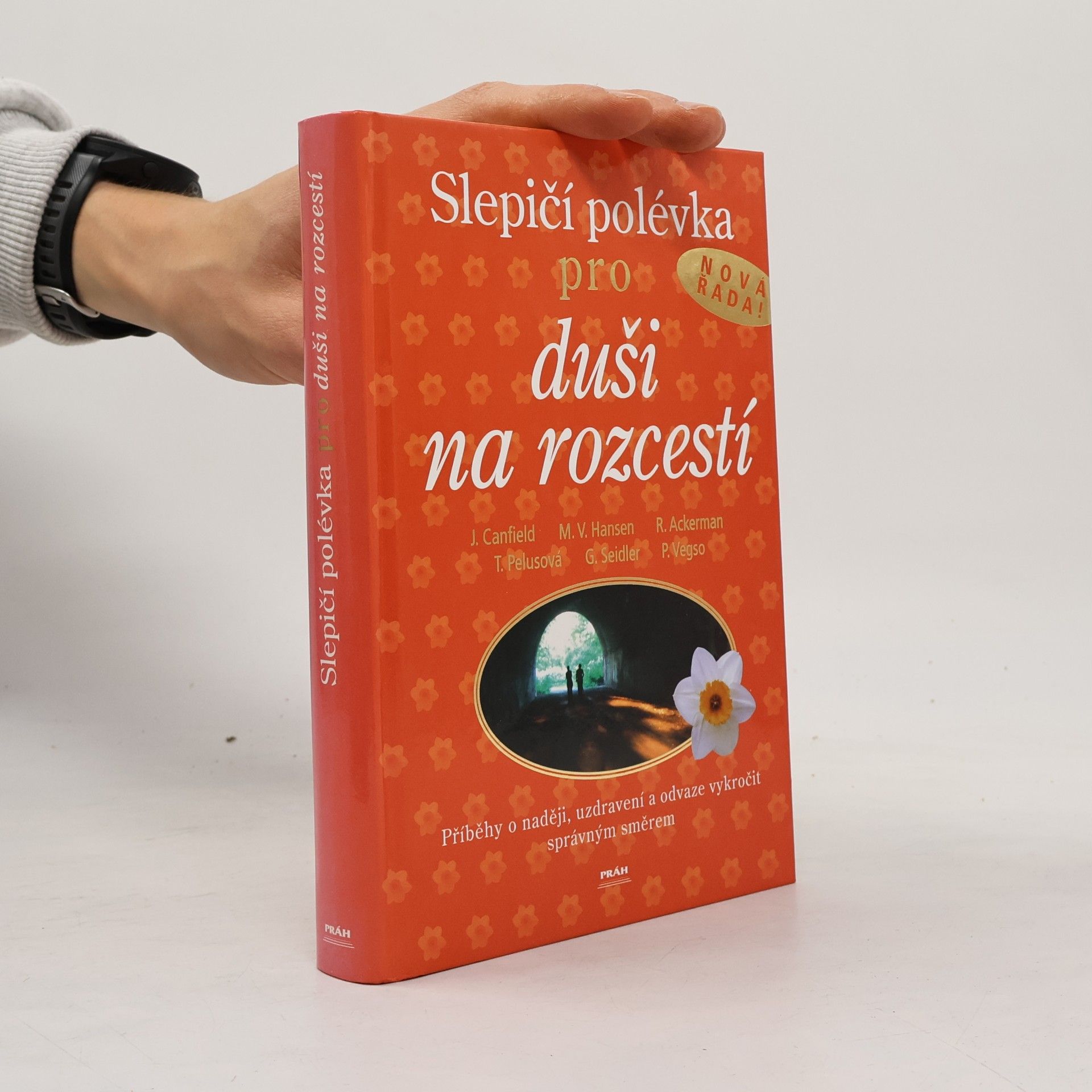 Jack Canfield Slepičí polévka pro duši na rozcestí