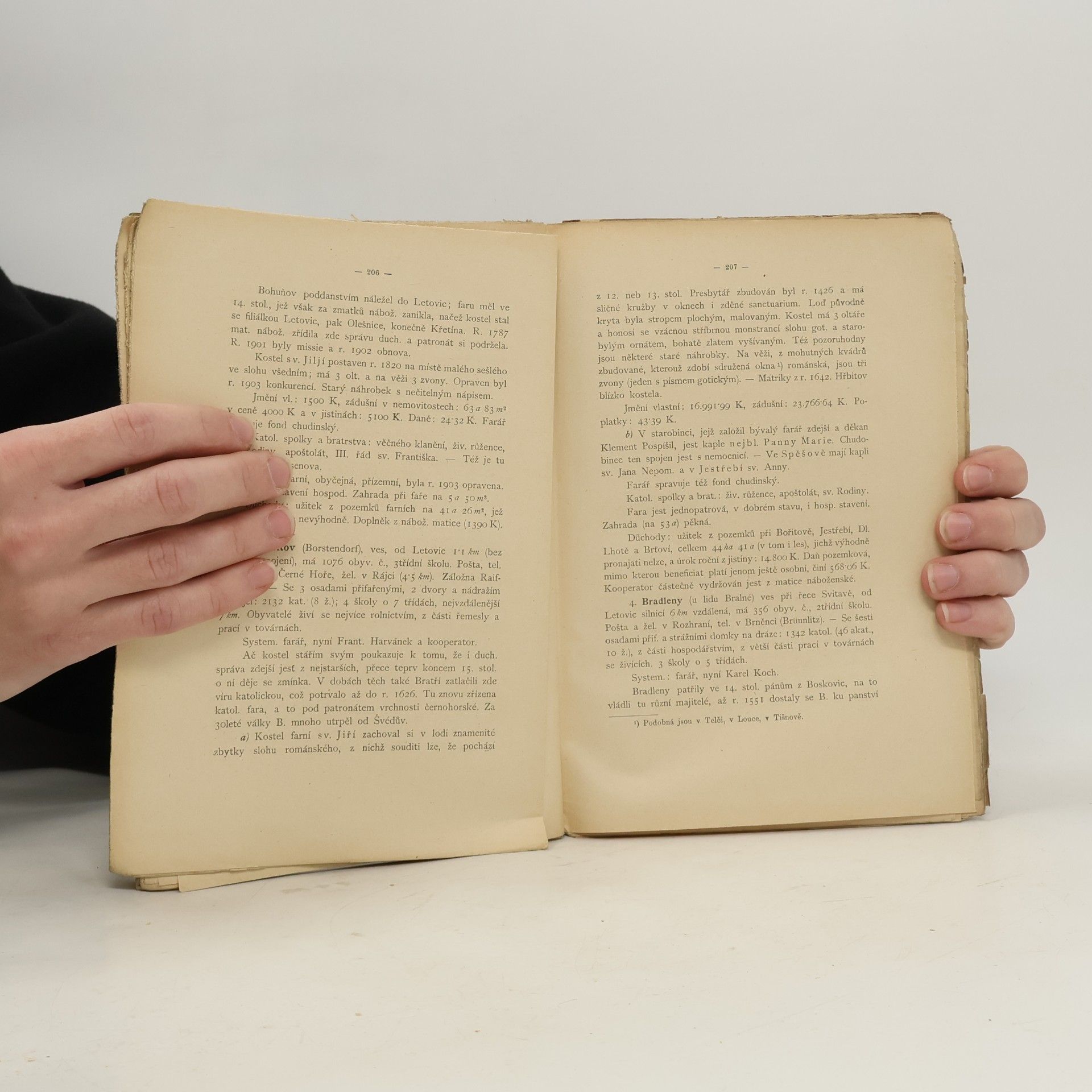 Alois Hrudička Topografie diecese Brněnské