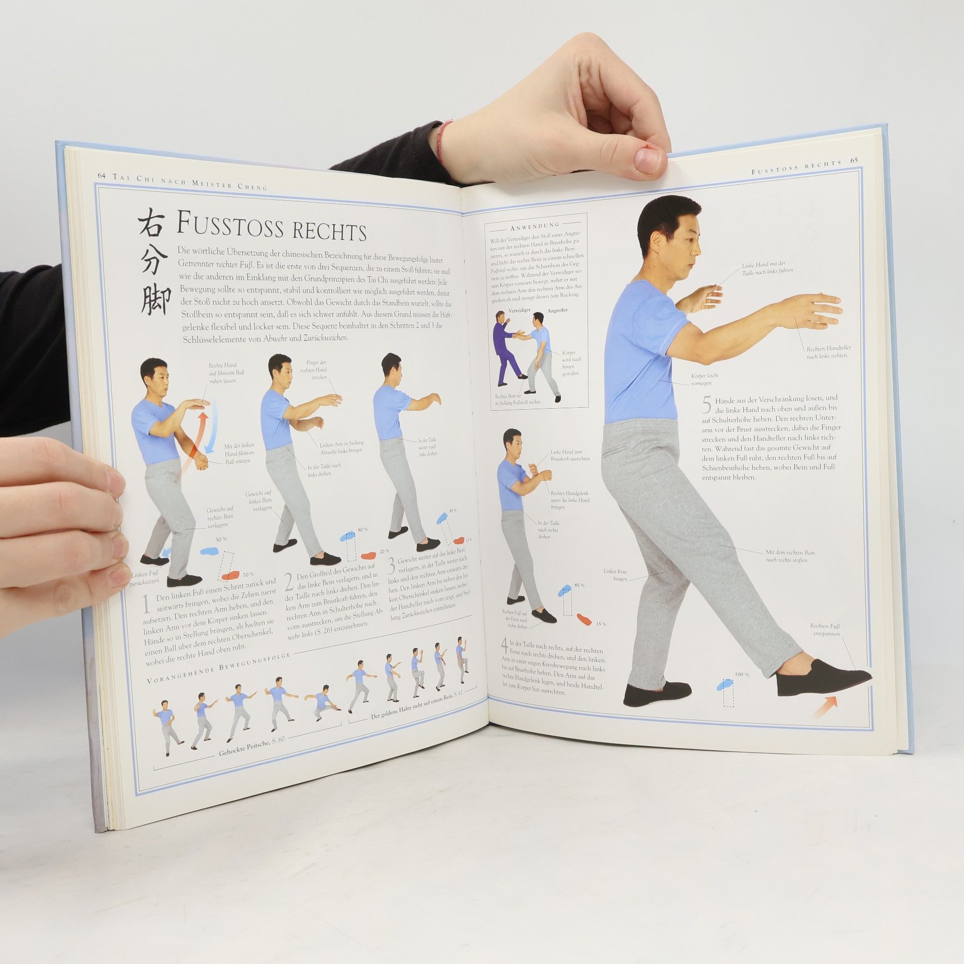 Stewart McFarlane Tai Chi - Das Praxisbuch