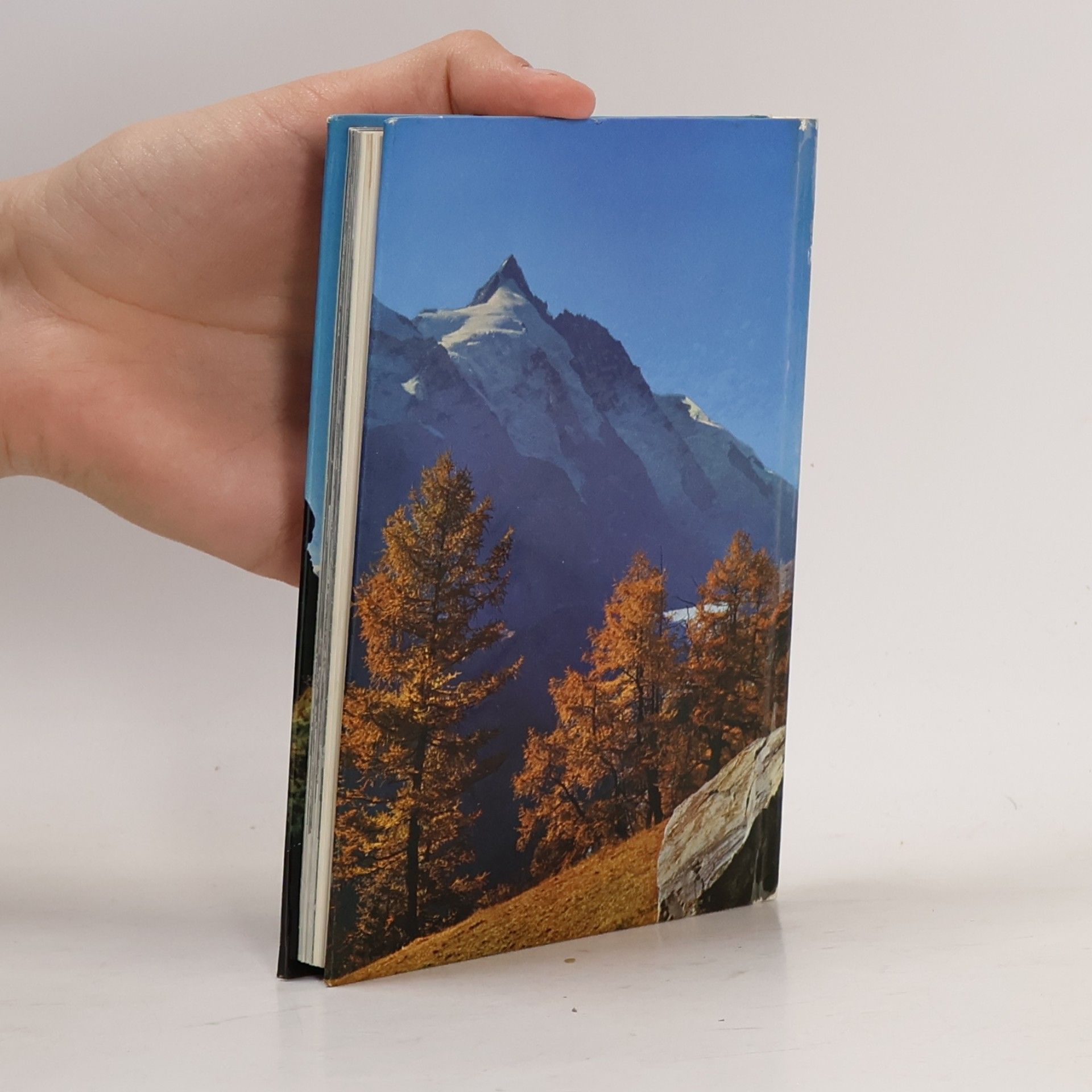 Various authors Das kleine Alpenbuch