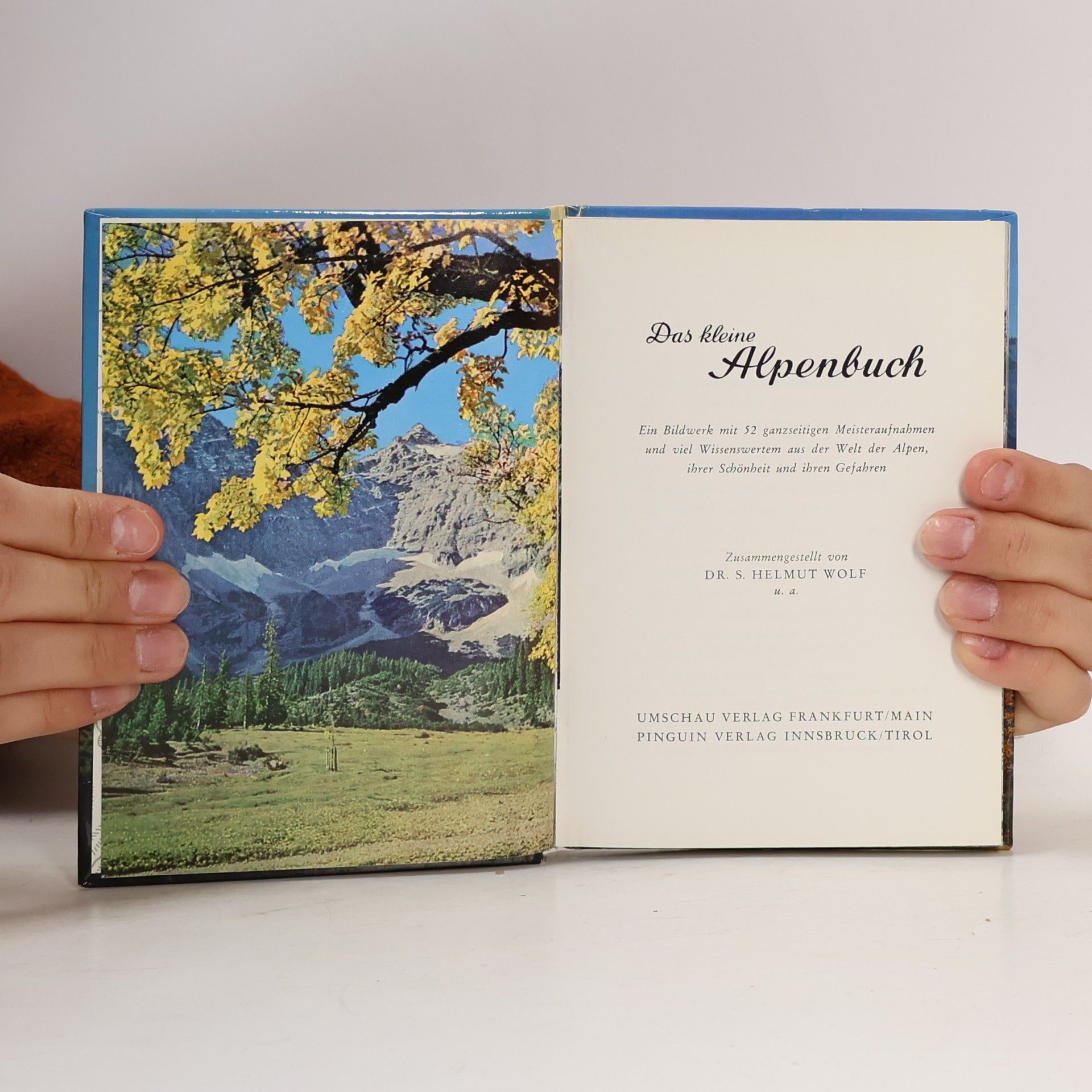 Various authors Das kleine Alpenbuch