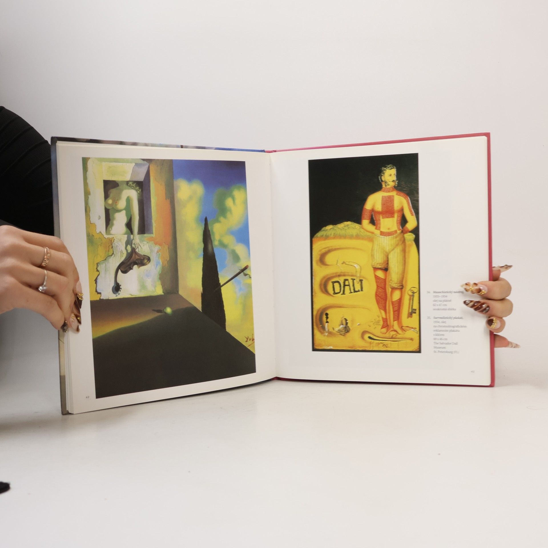 Kolektív autorov Dalí Salvador