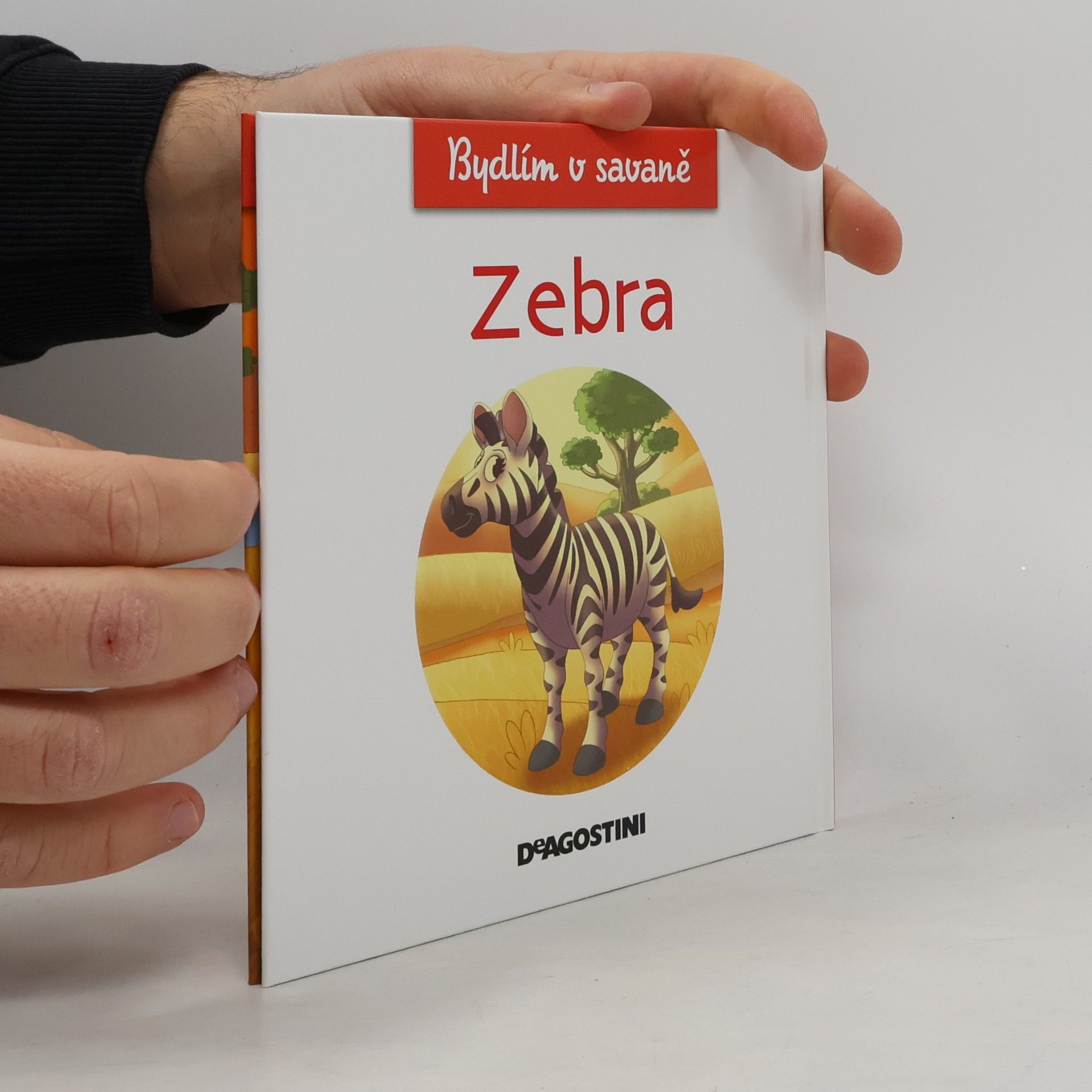 Kolektiv autorů Bydlím v savaně 5. Zebra