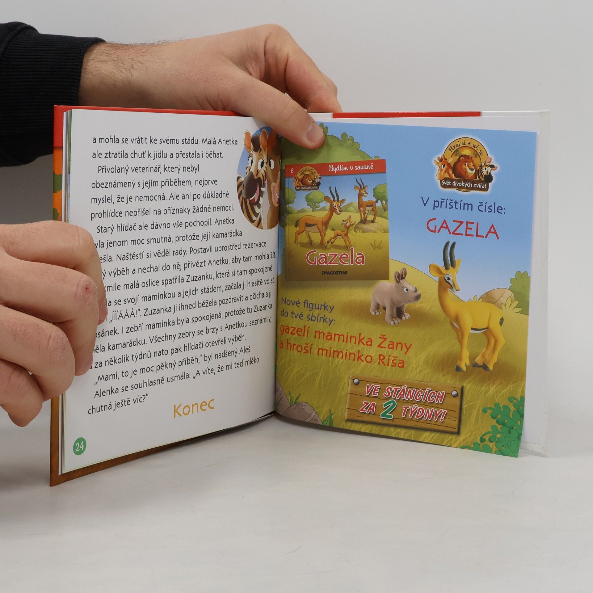 Kolektiv autorů Bydlím v savaně 5. Zebra