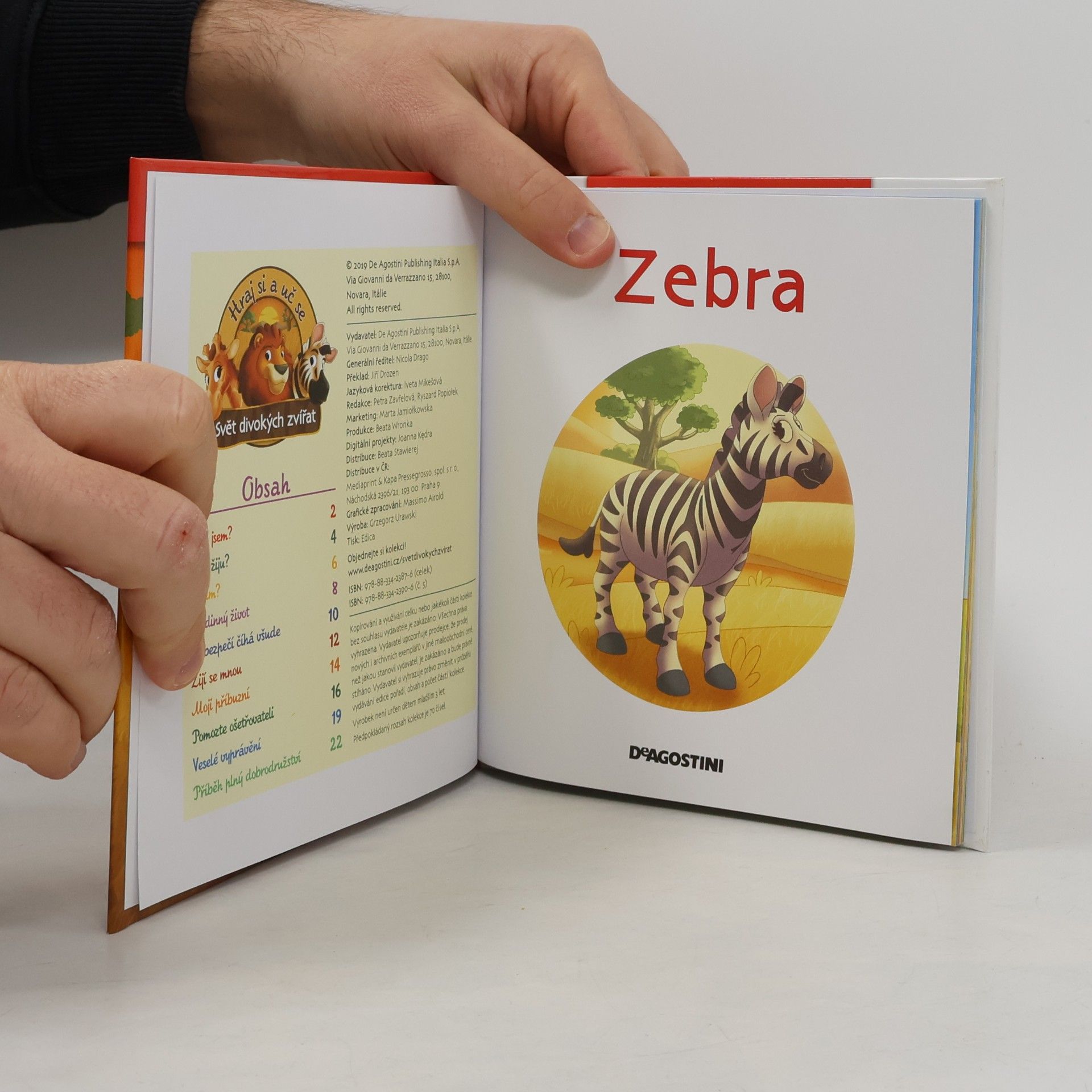 Kolektiv autorů Bydlím v savaně 5. Zebra