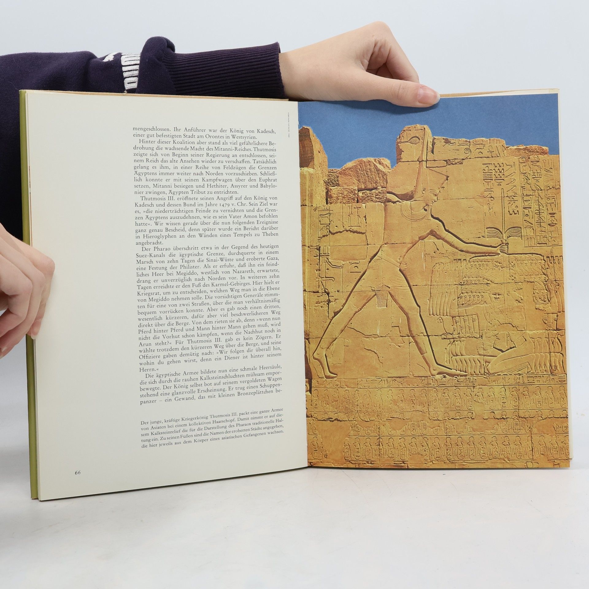 Jacquetta Hawkes Das große Buch der Pharaonen