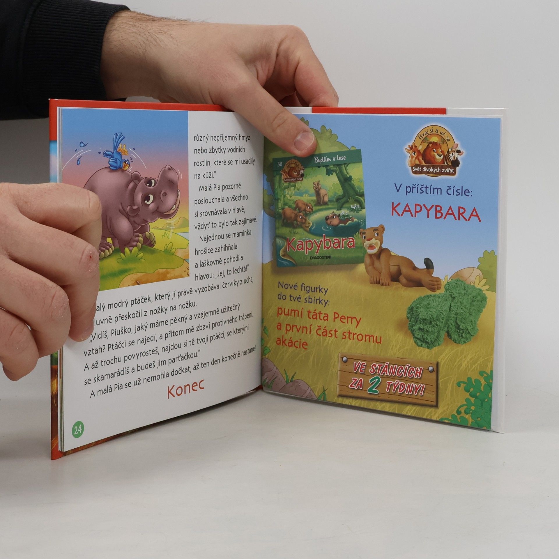 Various authors Bydlím v savaně 23. Surikata