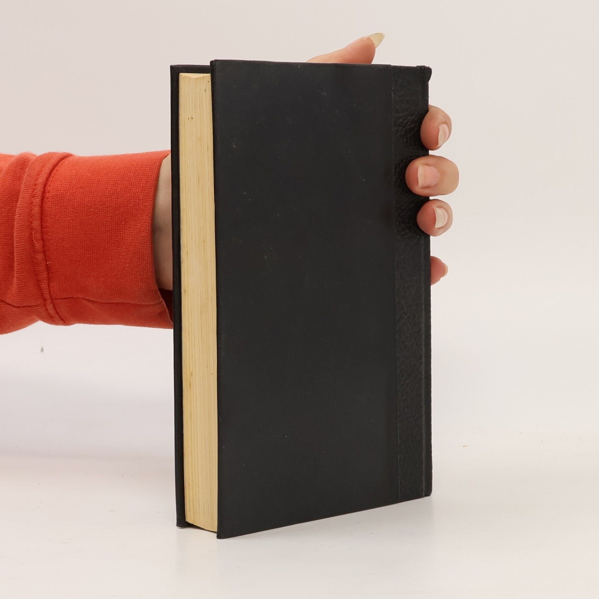 Autorenkollektiv Histoire de la Gestapo 3
