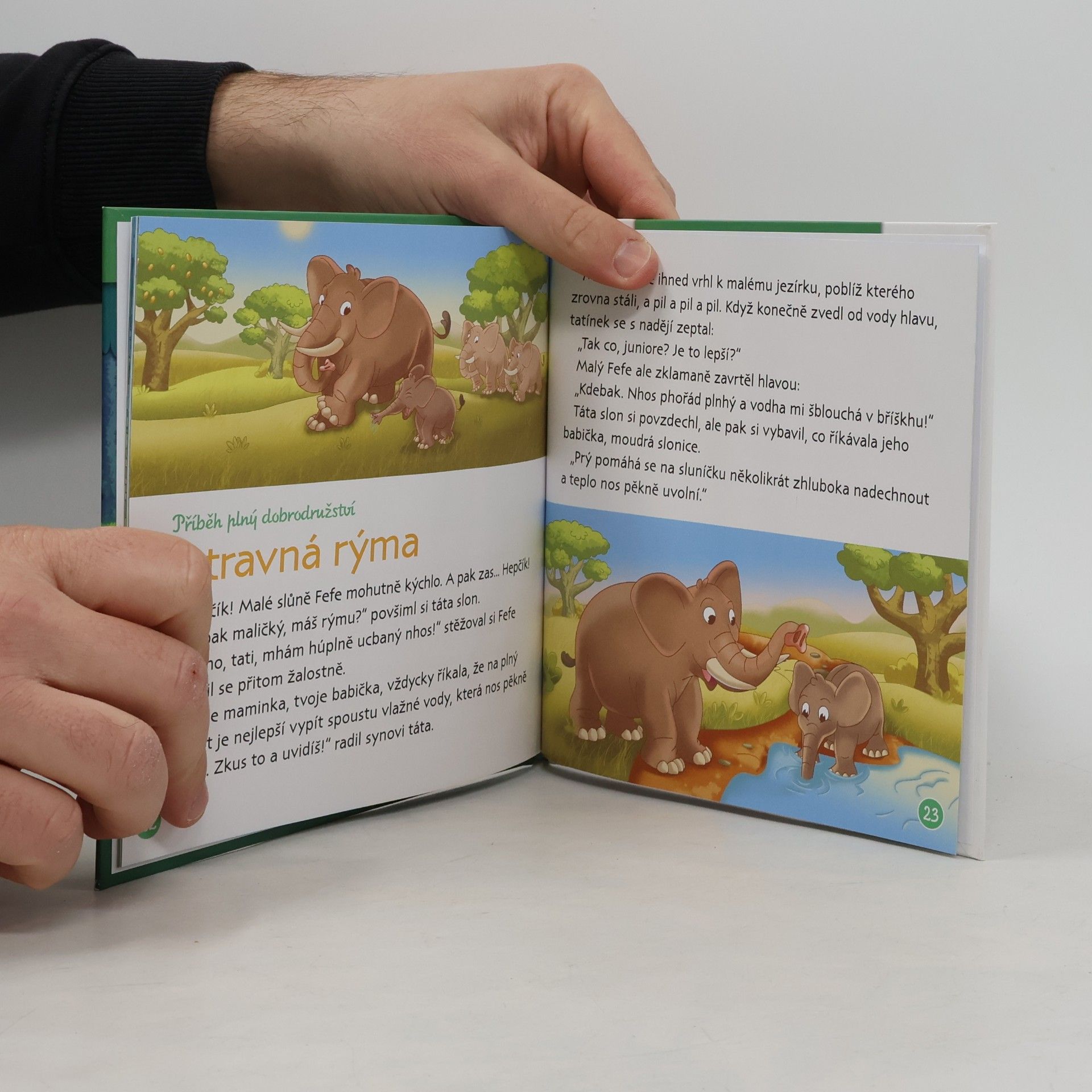 Kolektív autorov Bydlím v lese 23. Lemur