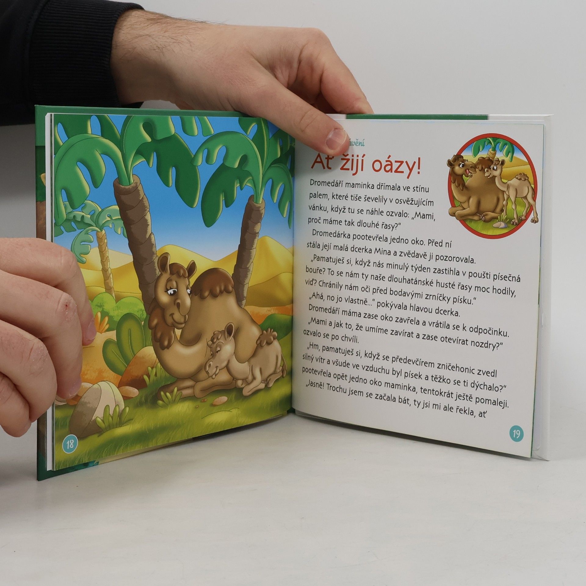 Kolektiv autorů Bydlím v lese 43. Ledňák obrovský