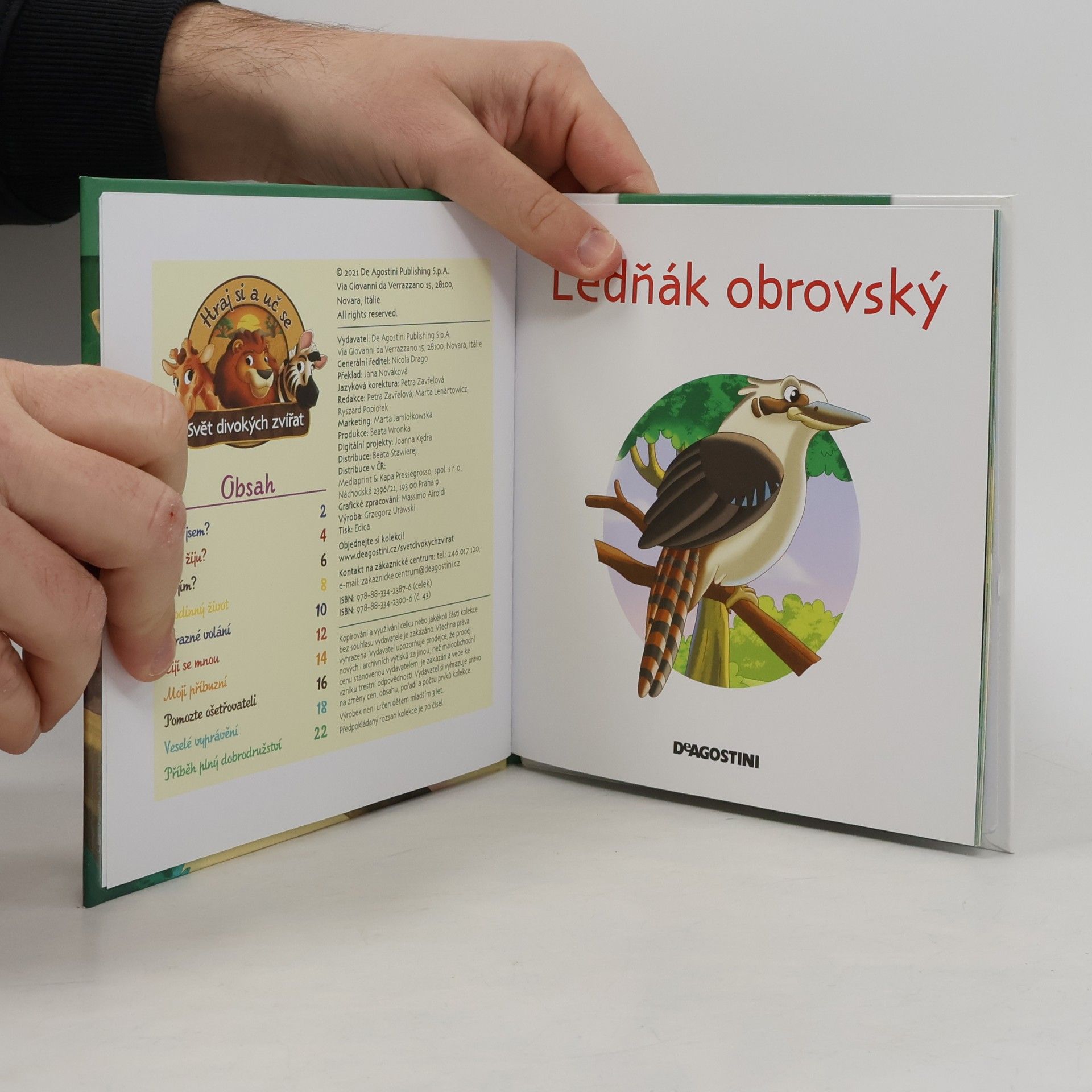 Kolektiv autorů Bydlím v lese 43. Ledňák obrovský