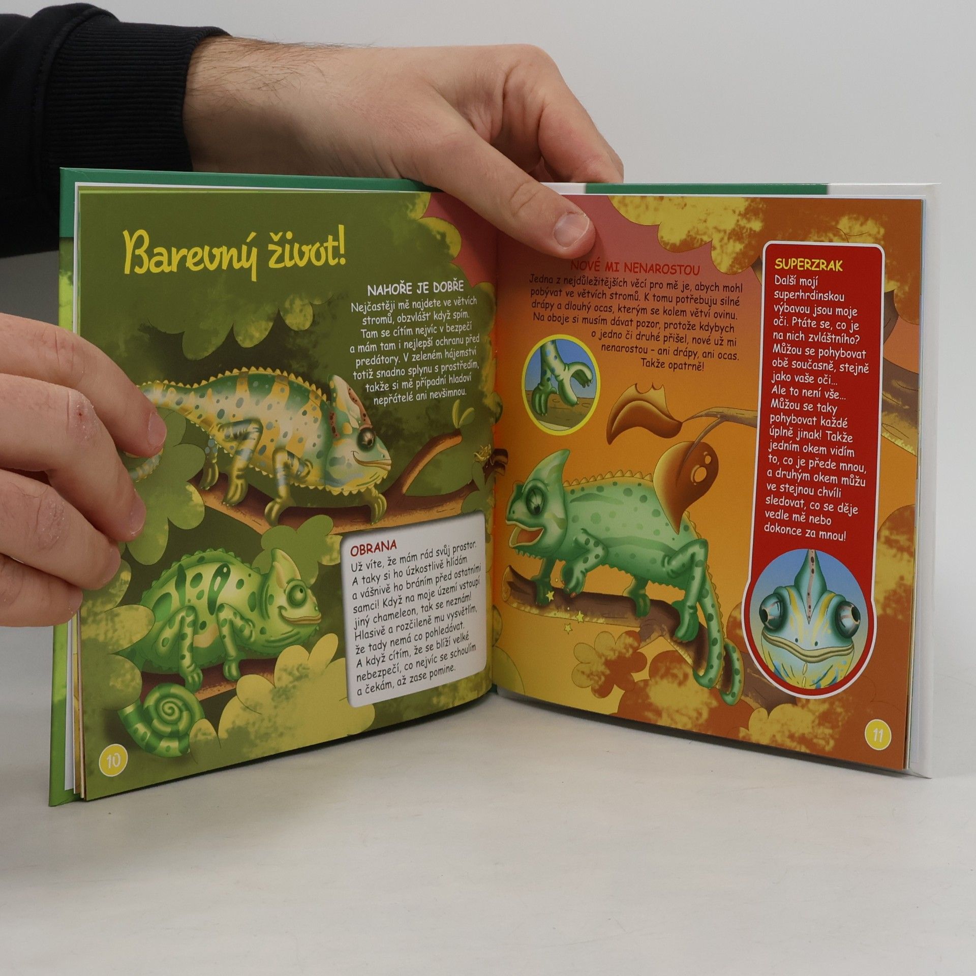 Kolektiv autorů Bydlím v lese 46. Chameleon