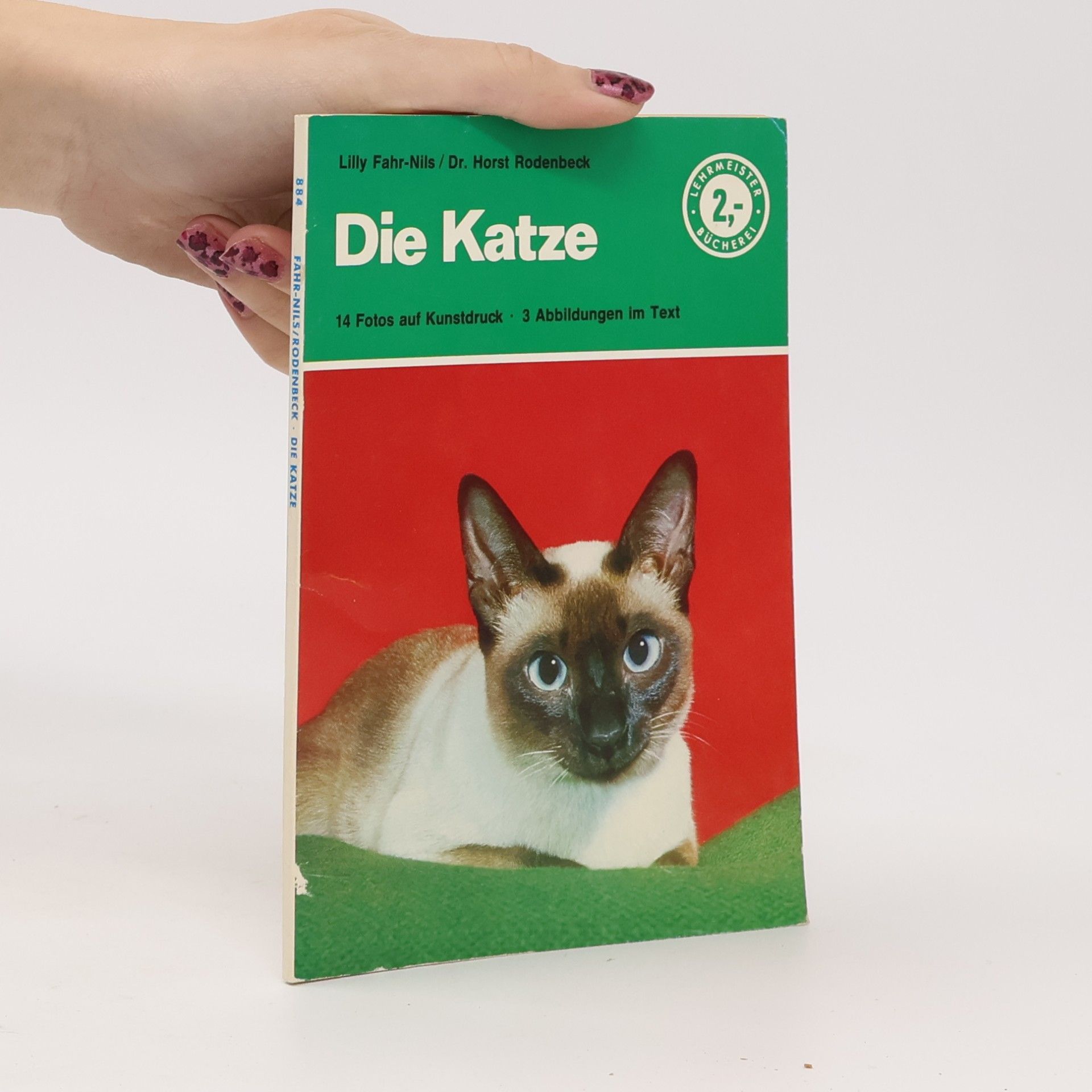 Die Katze