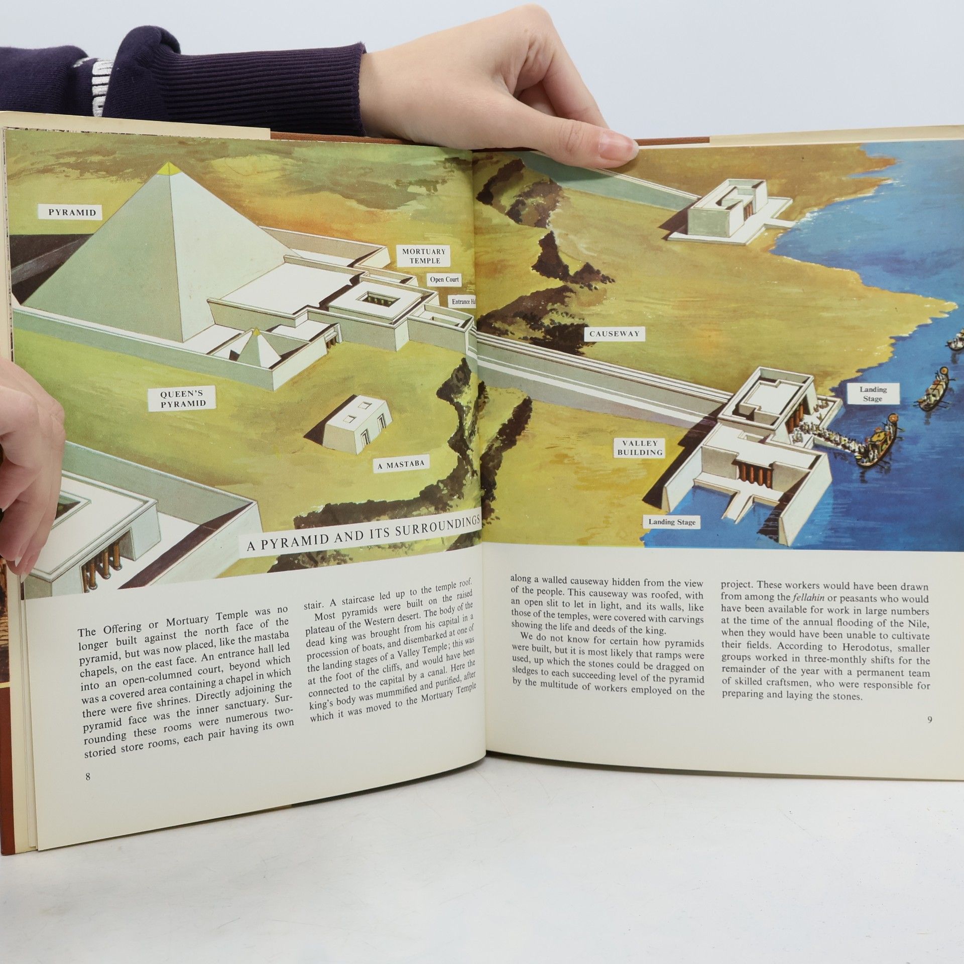 Helen Leacroft The Buildings Of Ancient Egypt