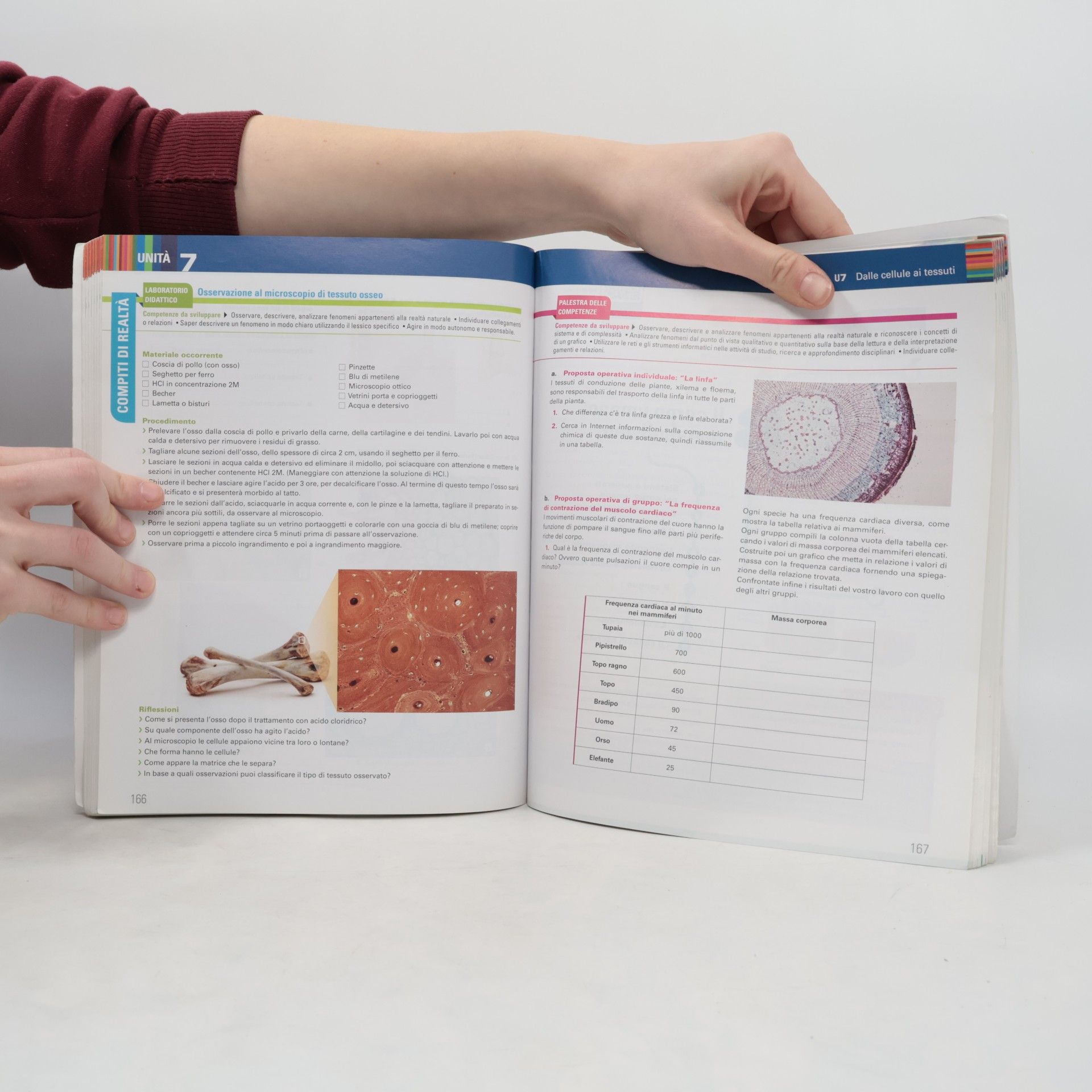 Elena Porzio BioPianeta. corso di biologia. per gli Ist. tecnici. con e-book. con espansione online
