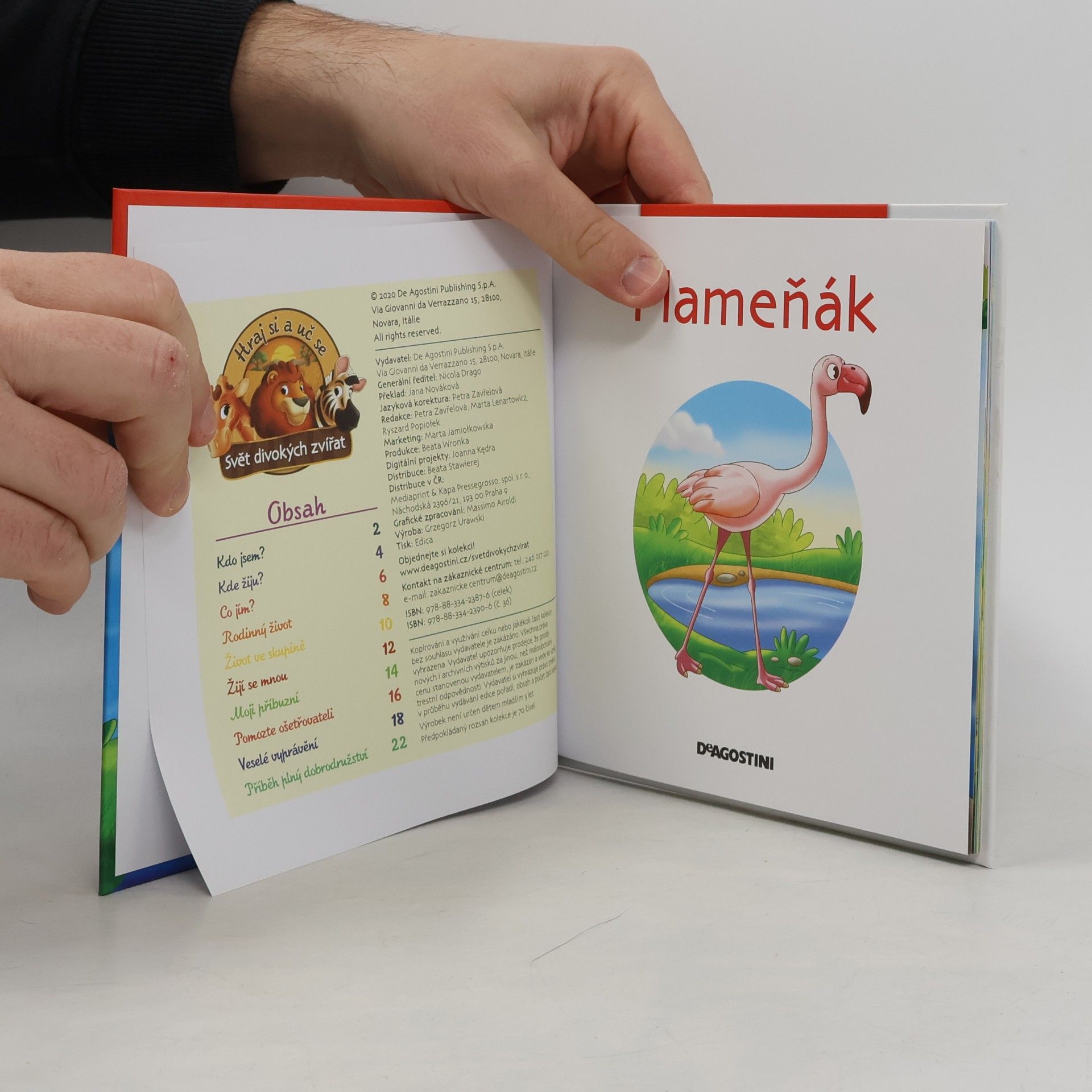 Autorenkollektiv Bydlím v savaně 36. Plameňák