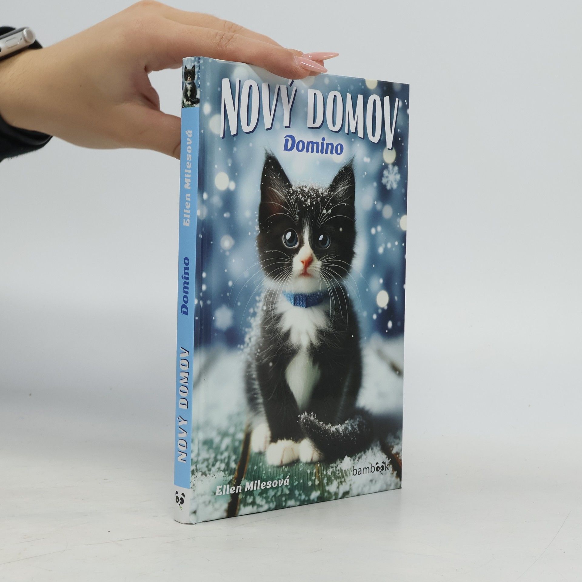 Nový domov. Domino