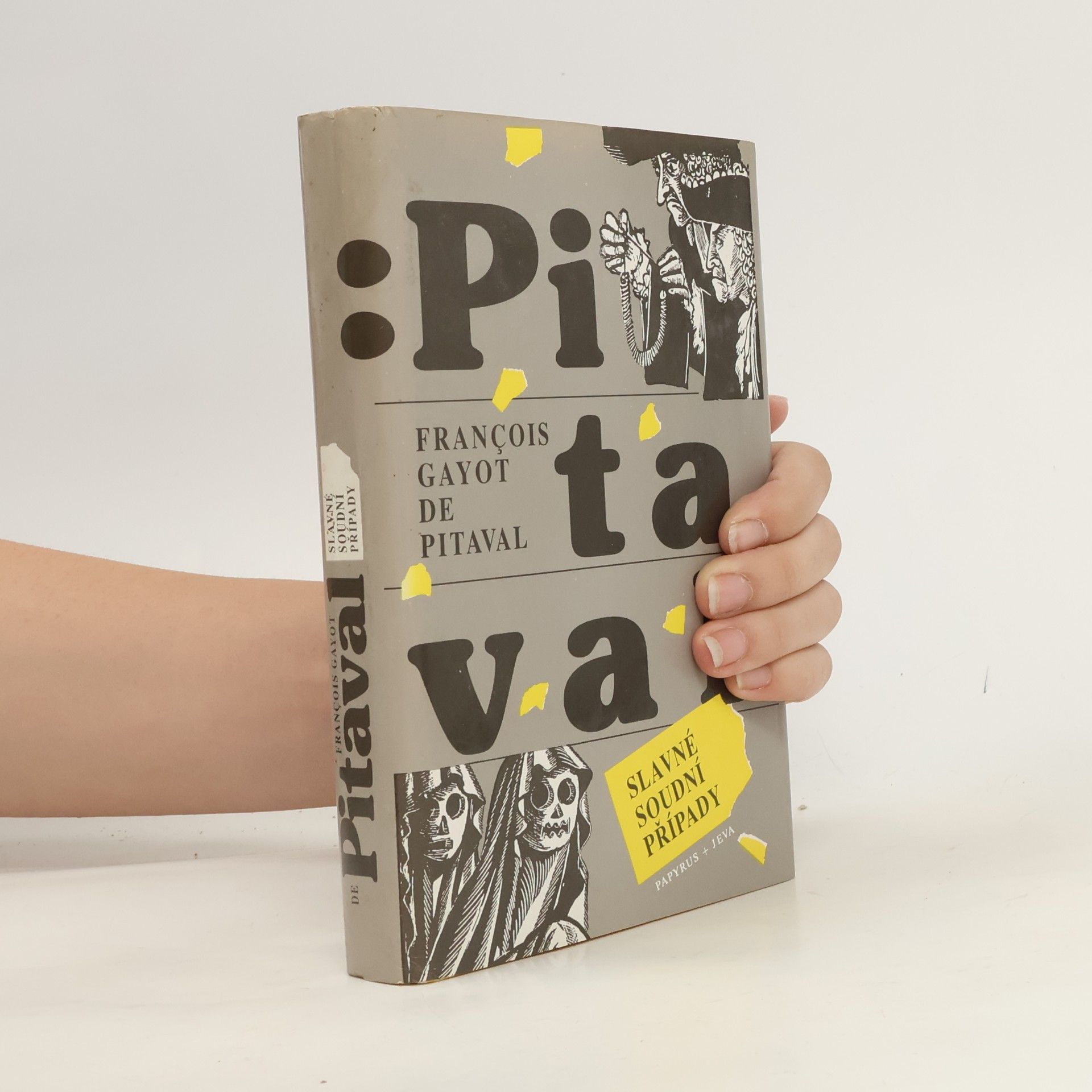 Jdi a zabíjej...! : poslední pitaval český