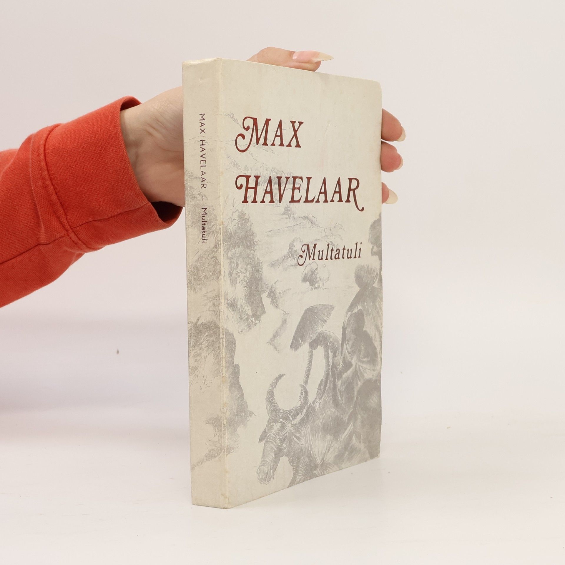 Multatuli Max Havelaar