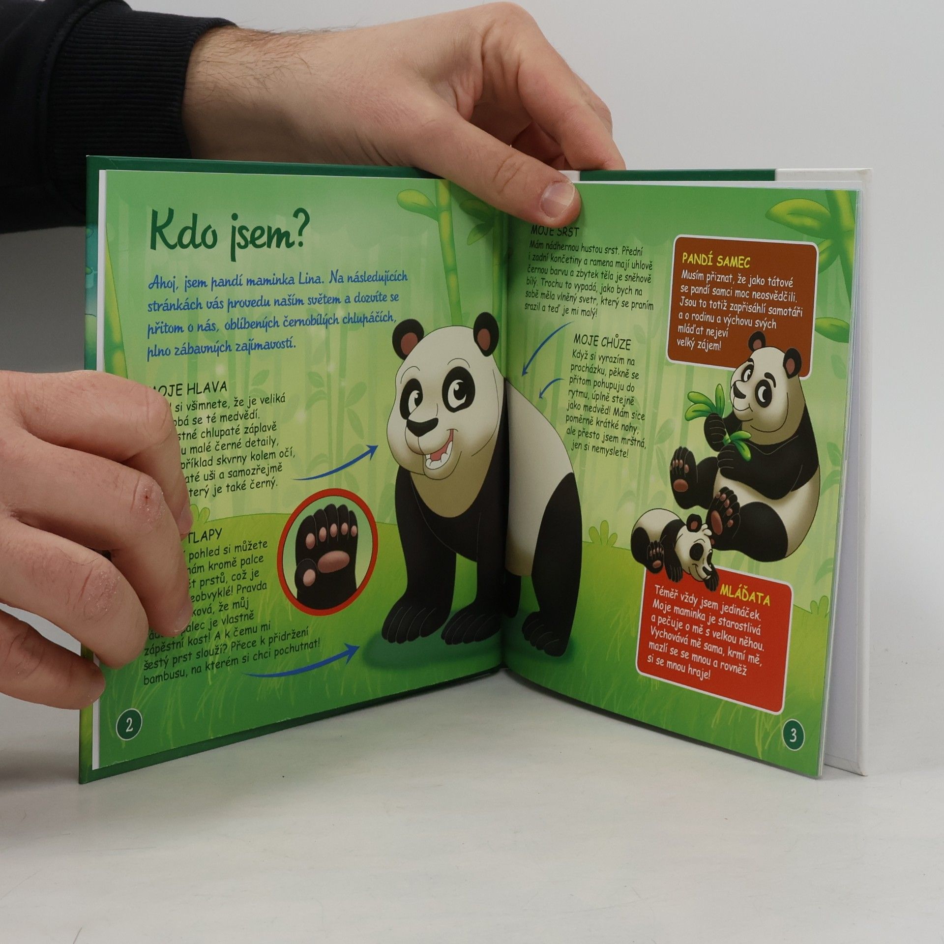 Auteurscollectief Bydlím v lese 10. Panda
