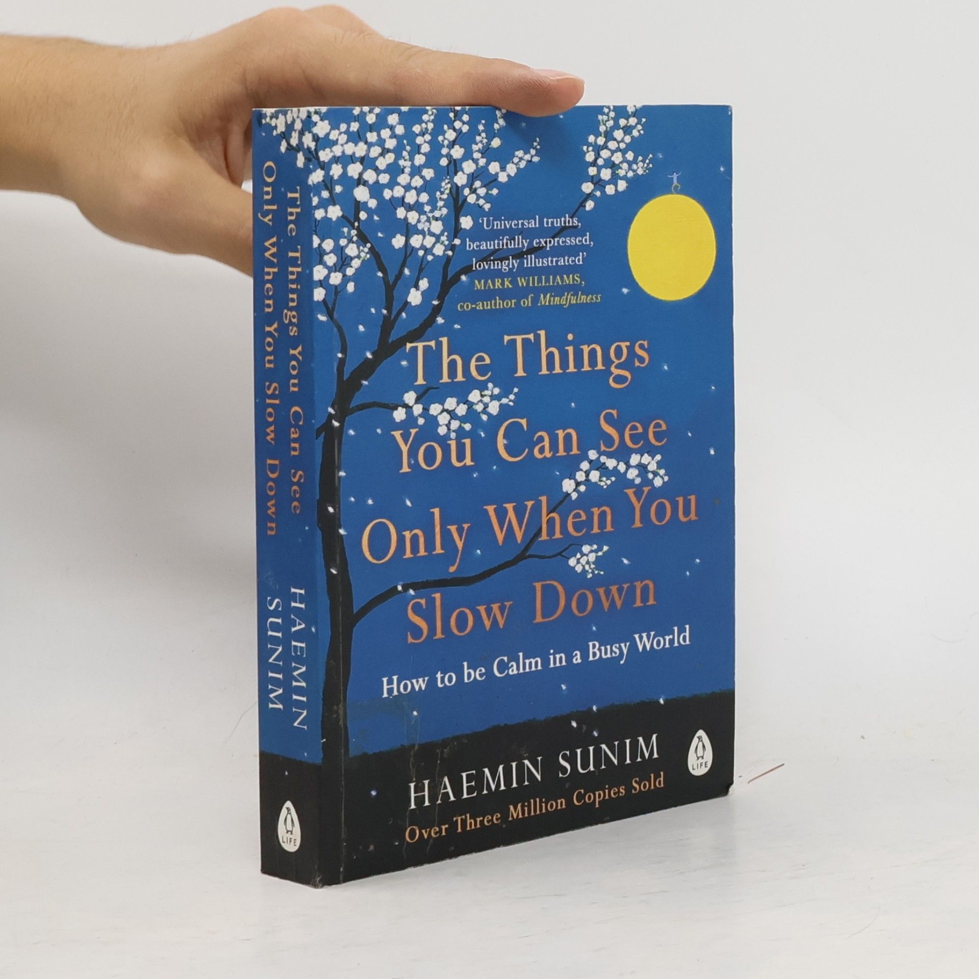 Haenim Sunim The Things You Can See Only When You Slow Down