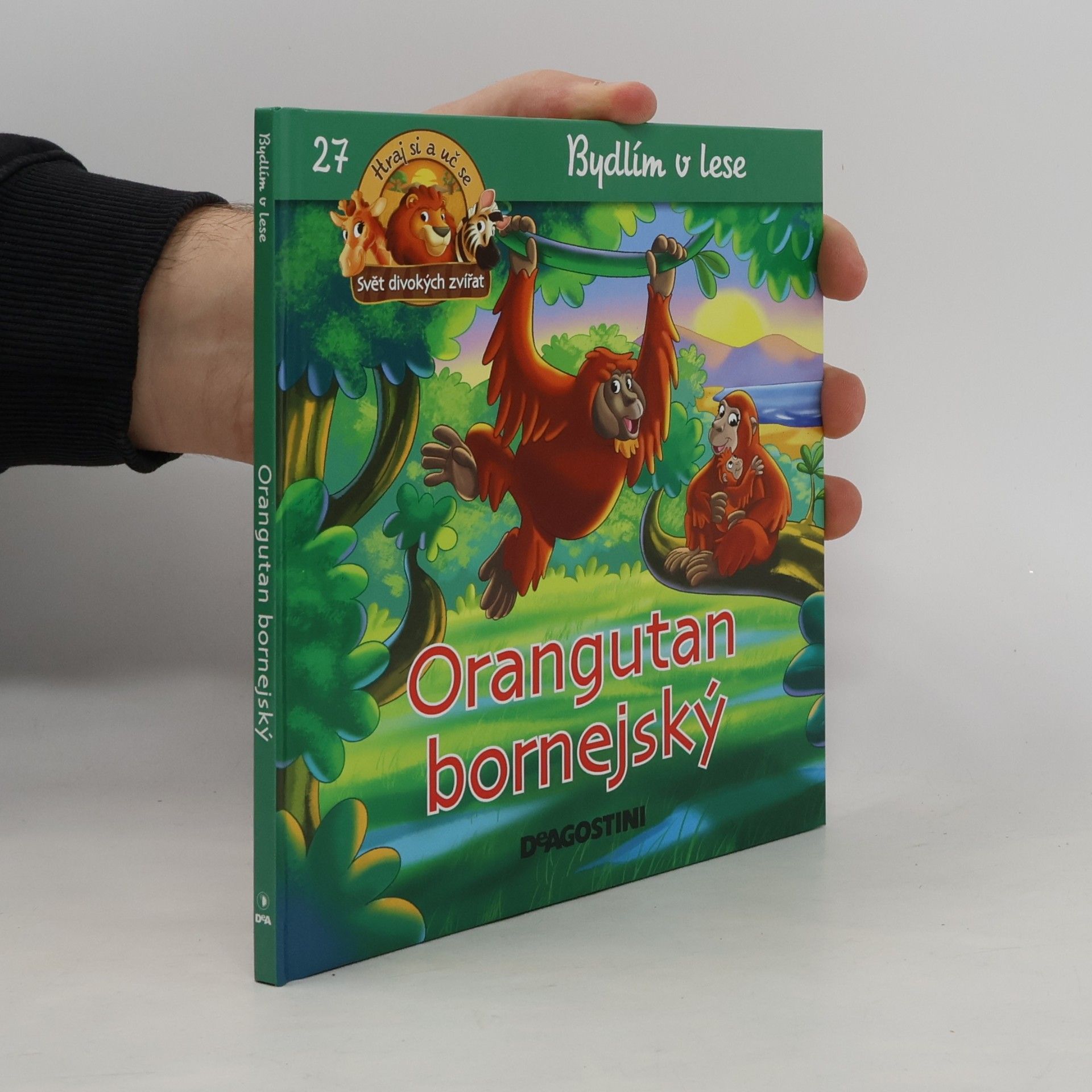 Kolektiv autorů Bydlím v lese 27. Orangutan bornejský