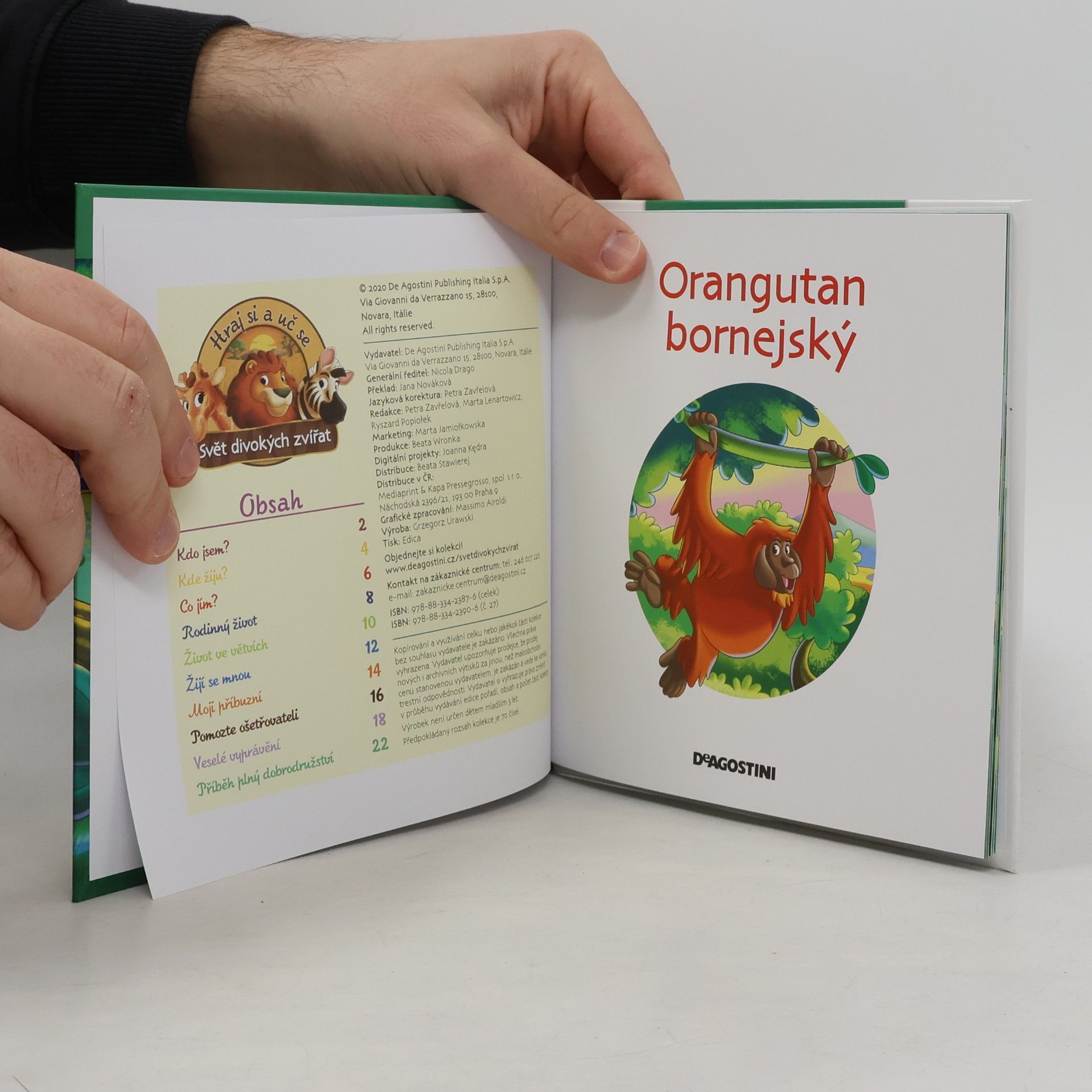 Kolektiv autorů Bydlím v lese 27. Orangutan bornejský