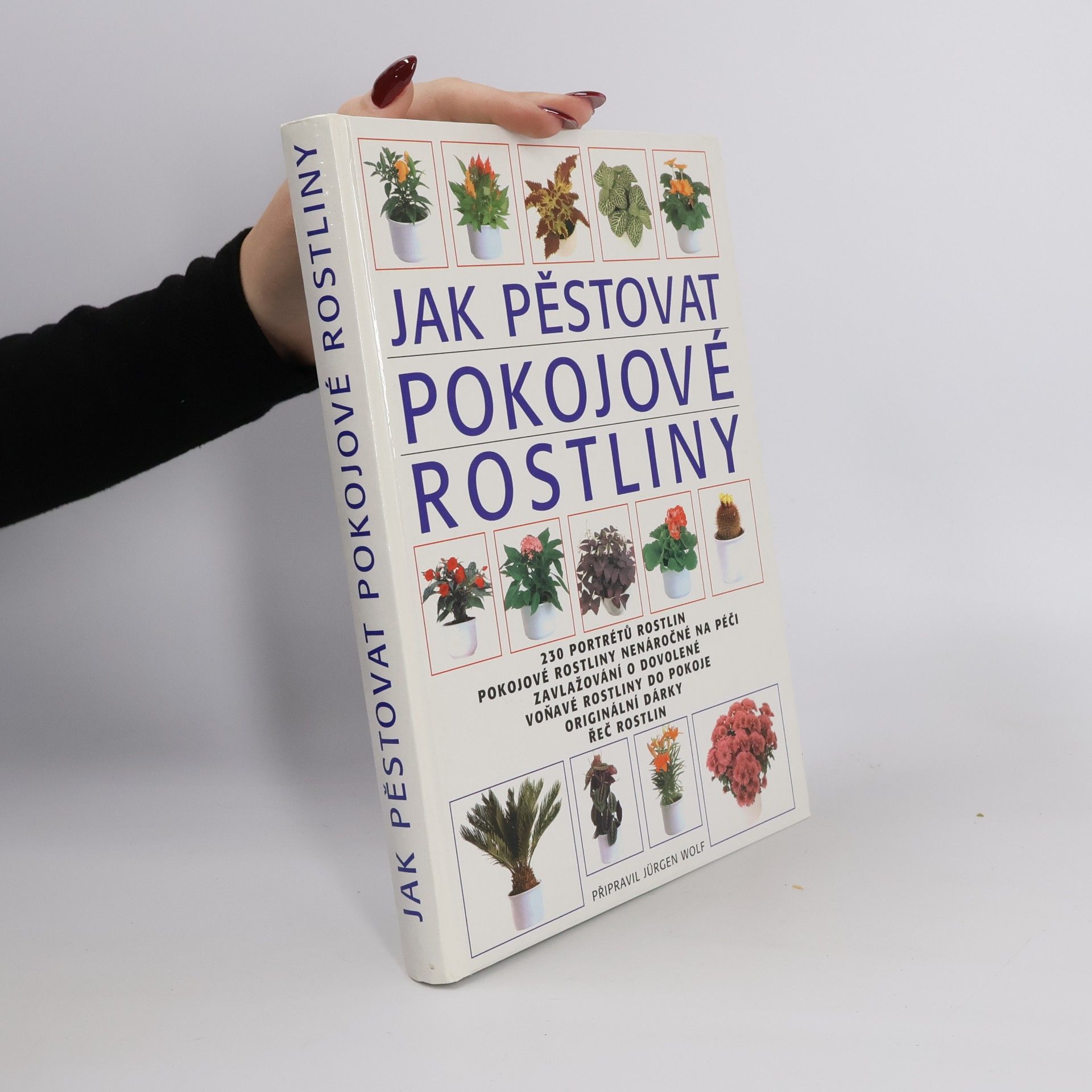 Jak pěstovat pokojové rostliny