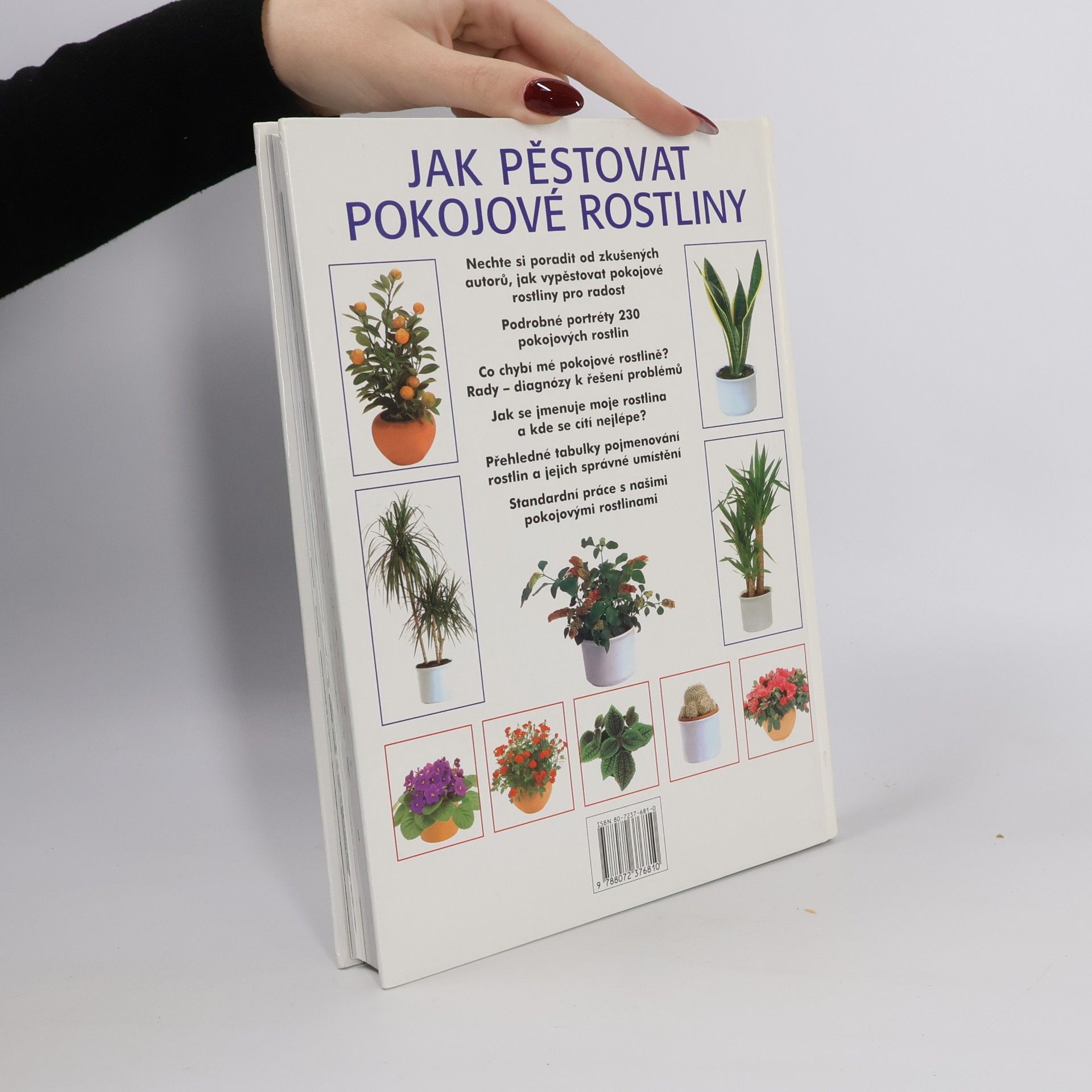 Jürgen Wolff Jak pěstovat pokojové rostliny