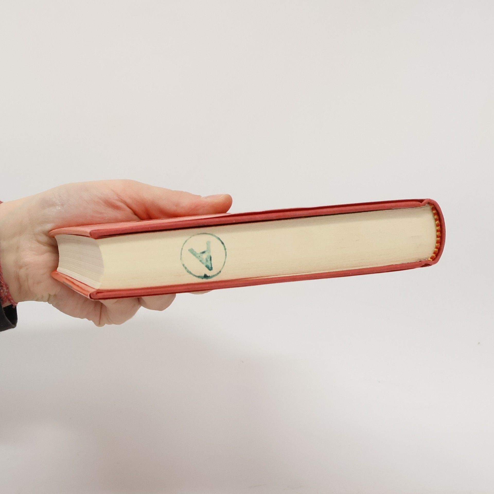 Gisela Elsner Fliegeralarm : Roman