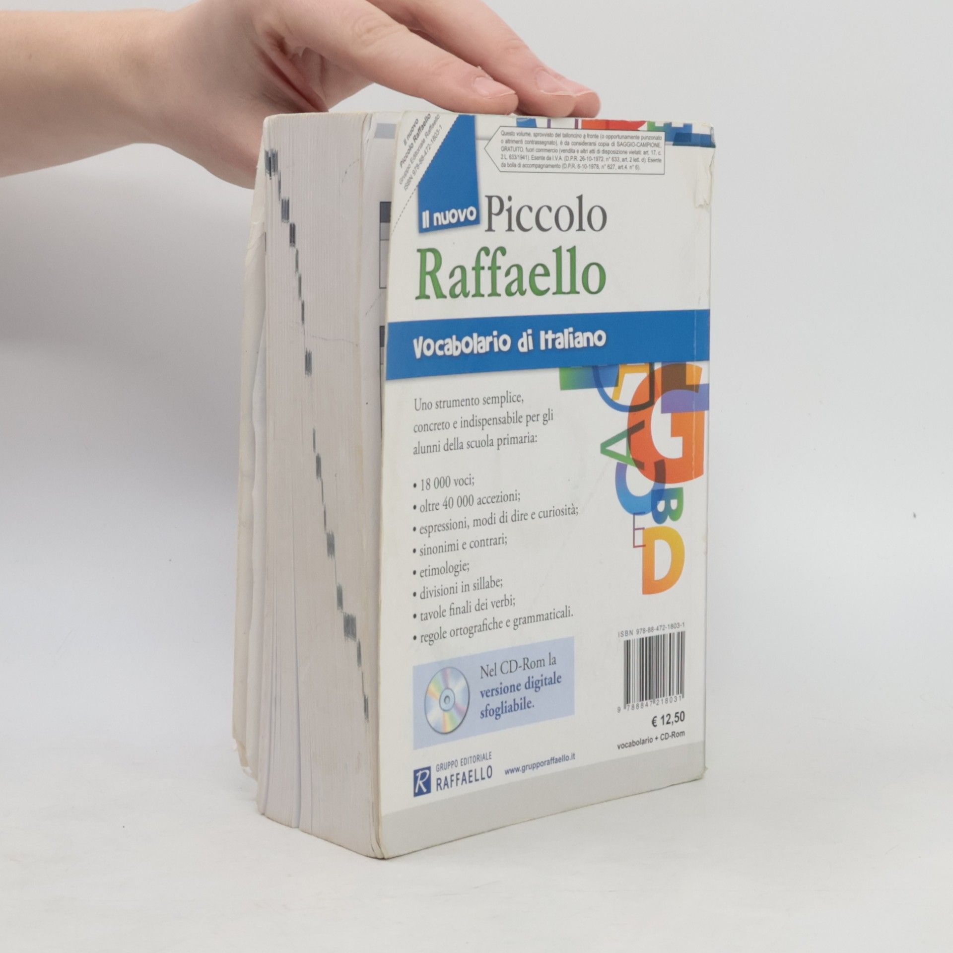 Piccolo Raffaello Vocabolario di Italiano